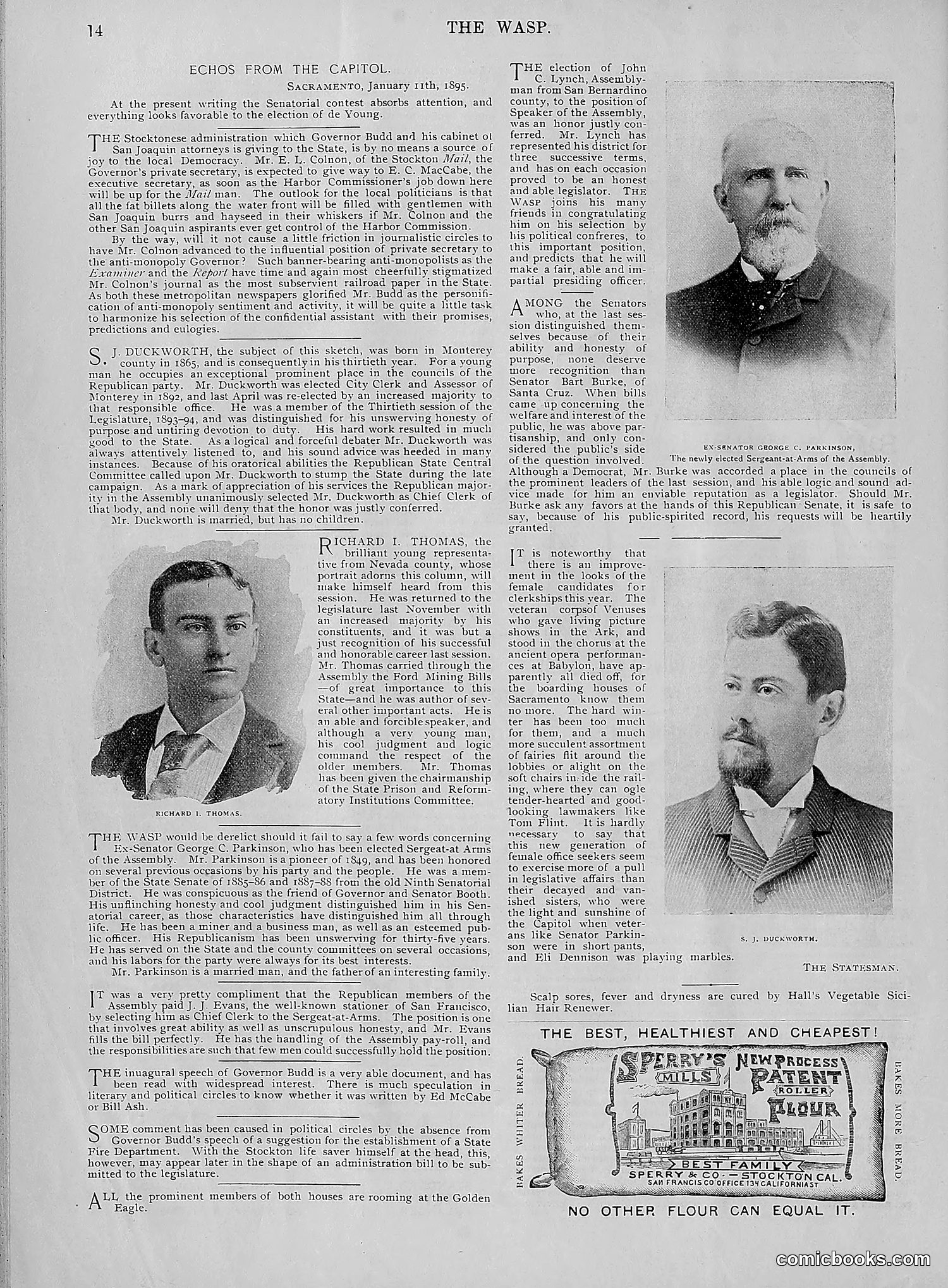 The Wasp — 1895 — page 39 of 1100