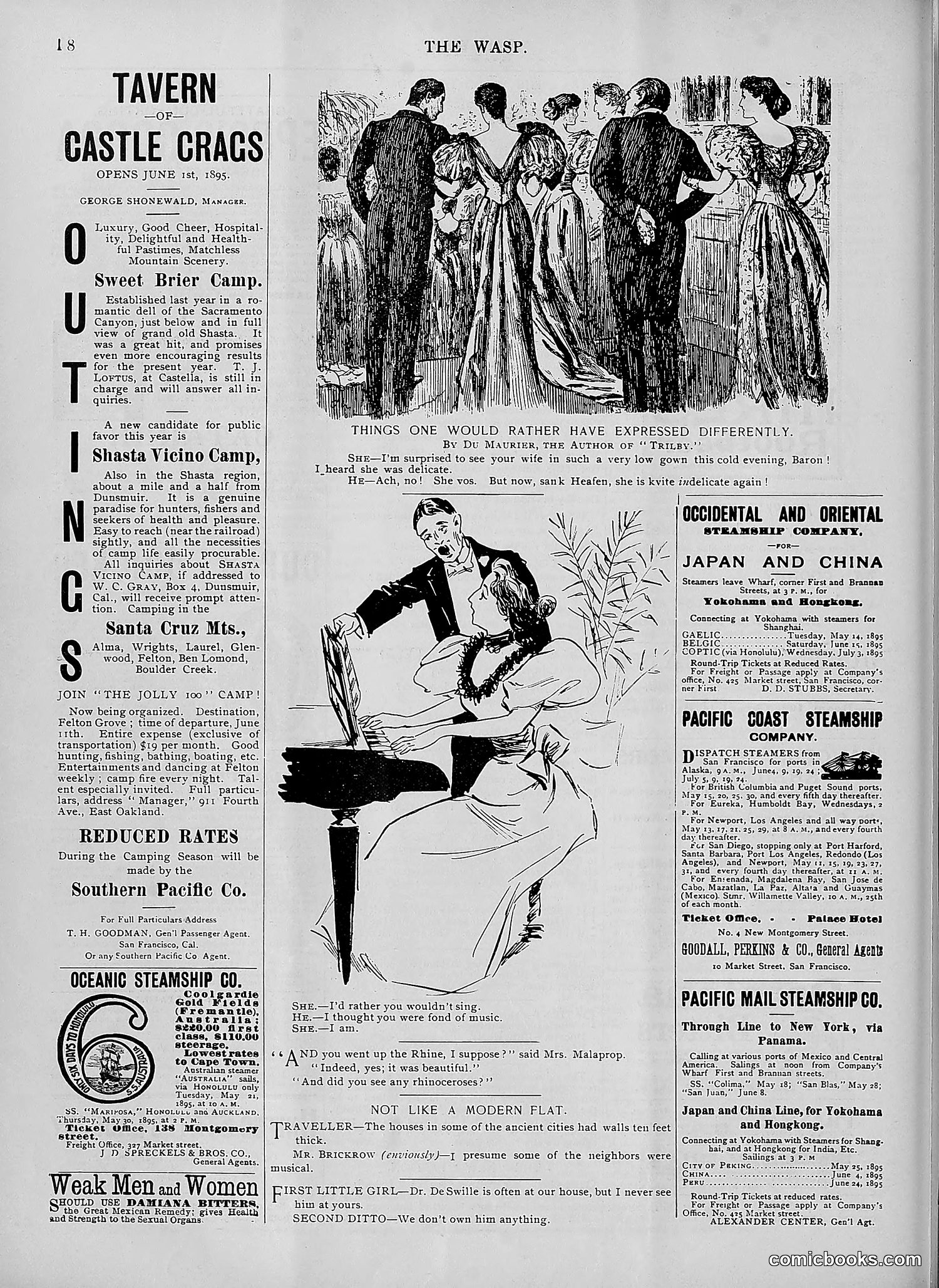 The Wasp — 1895 — page 383 of 1100
