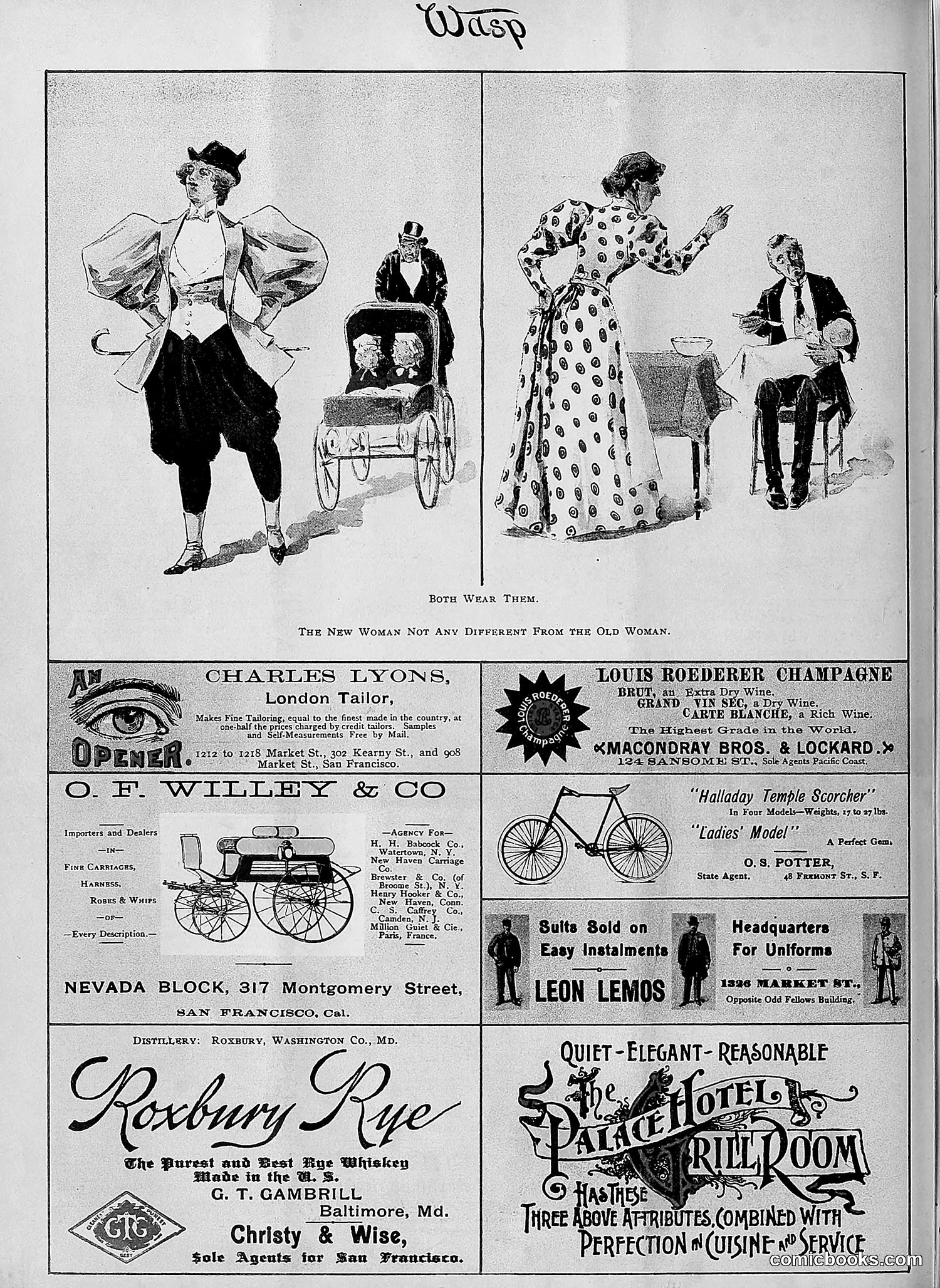 The Wasp — 1895 — page 385 of 1100