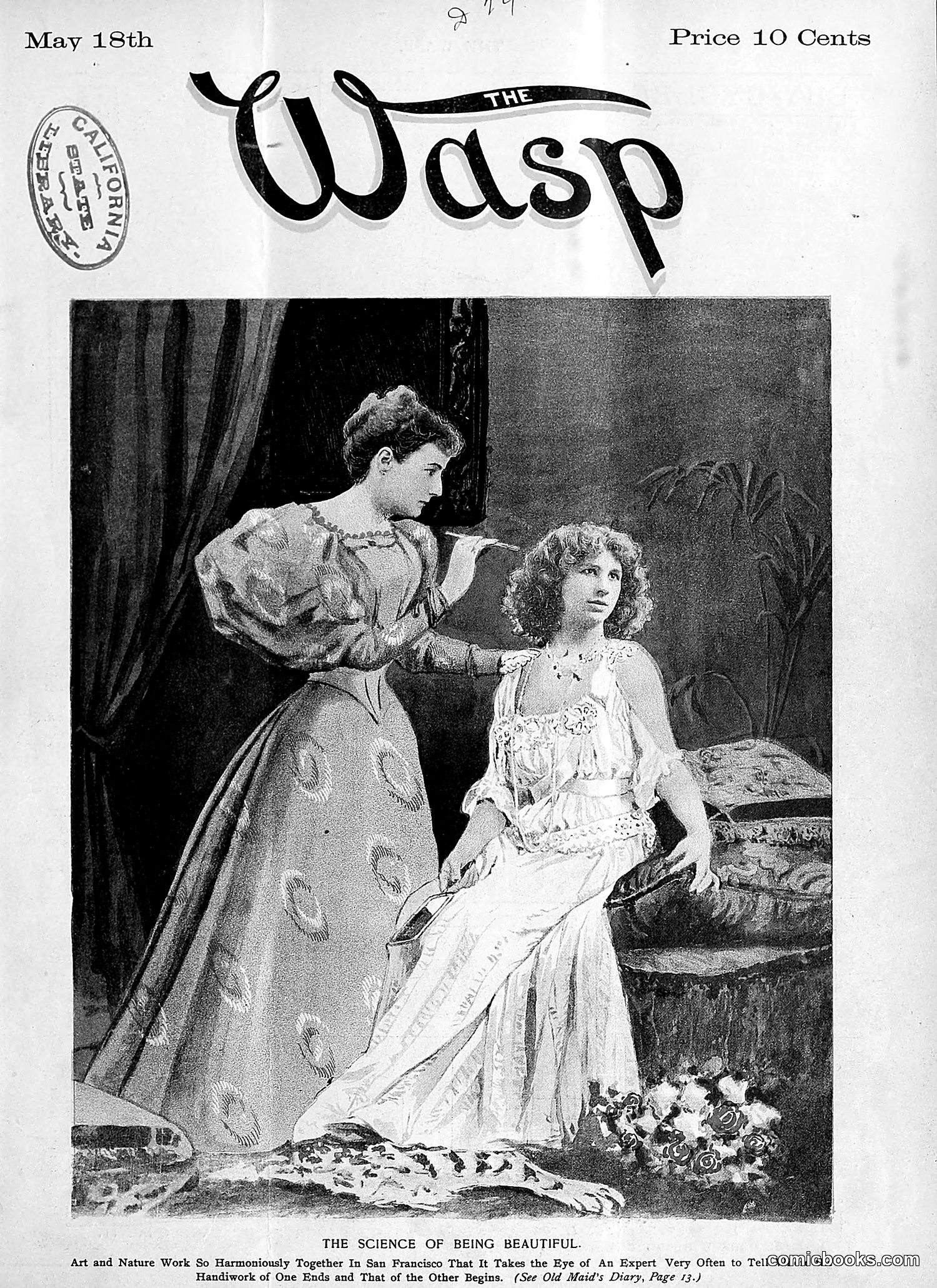 The Wasp — 1895 — page 386 of 1100