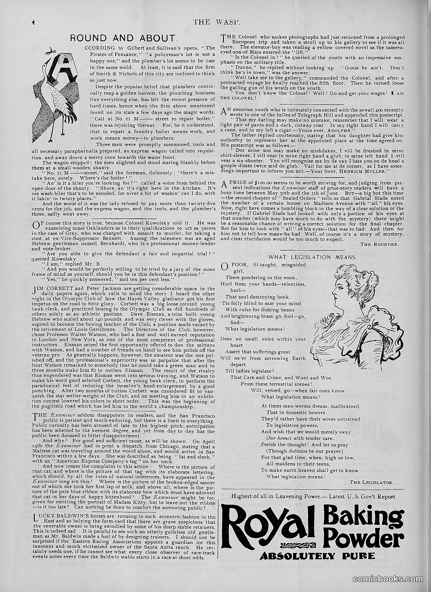 The Wasp — 1895 — page 389 of 1100