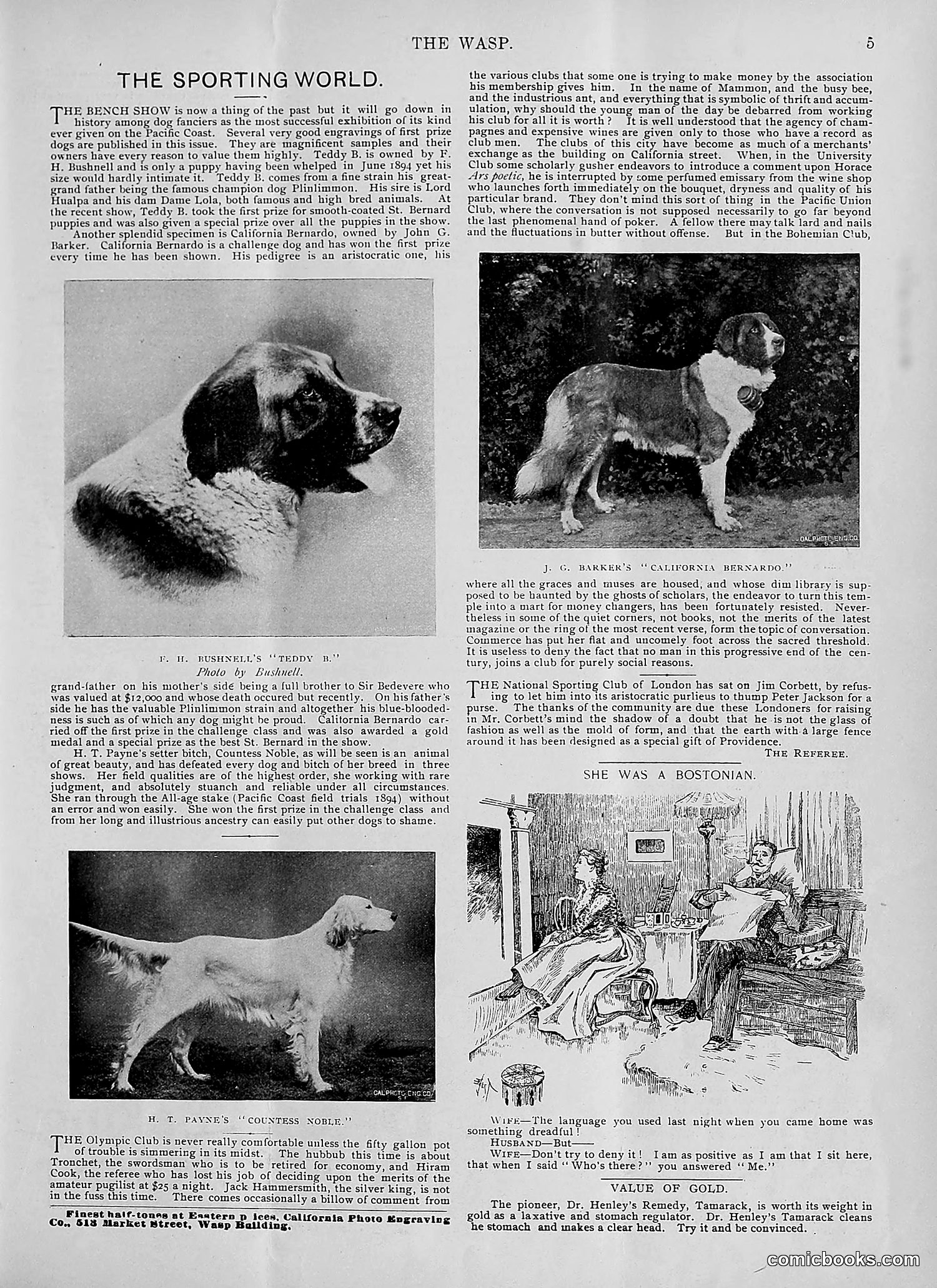 The Wasp — 1895 — page 390 of 1100