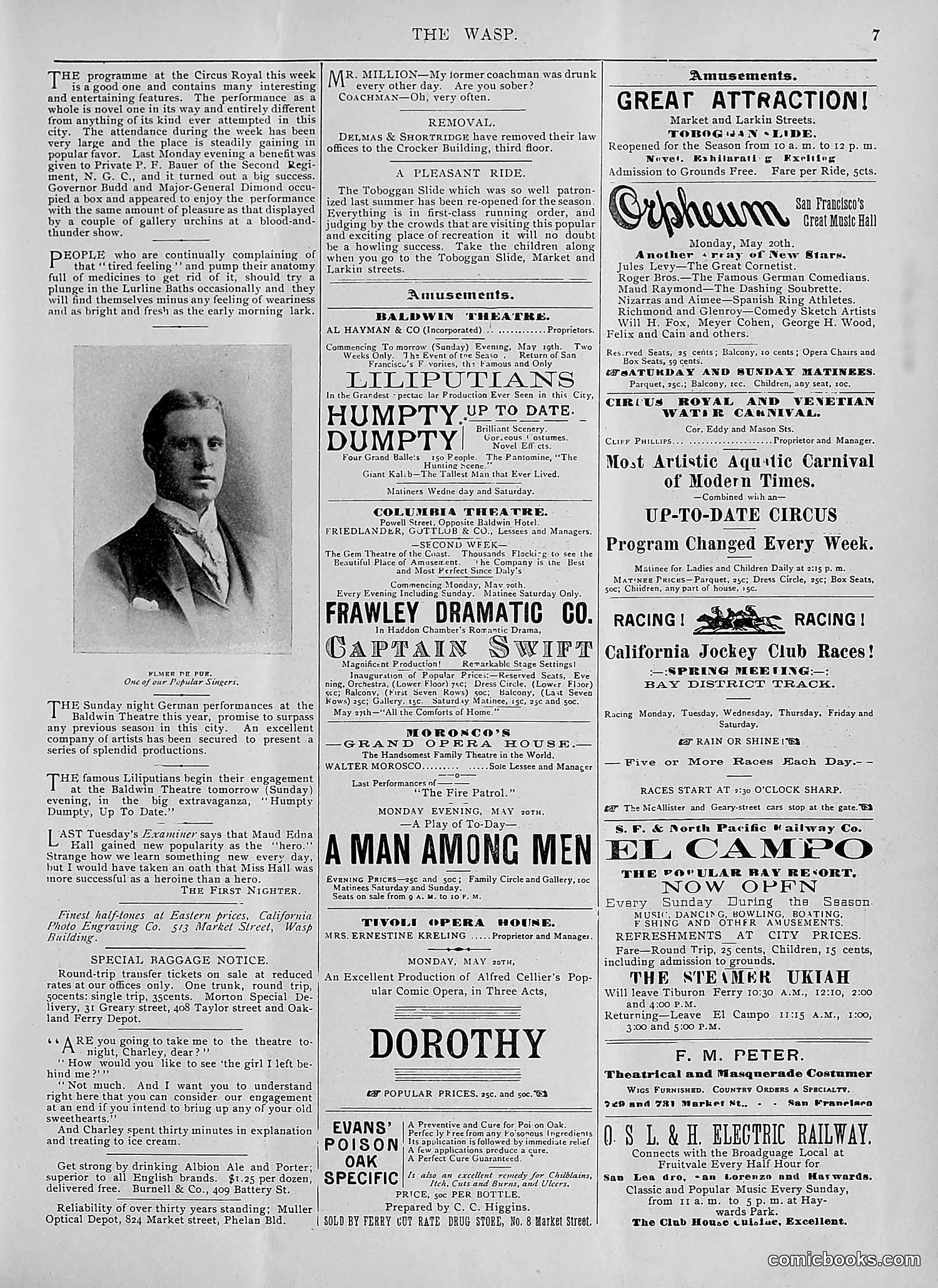 The Wasp — 1895 — page 392 of 1100