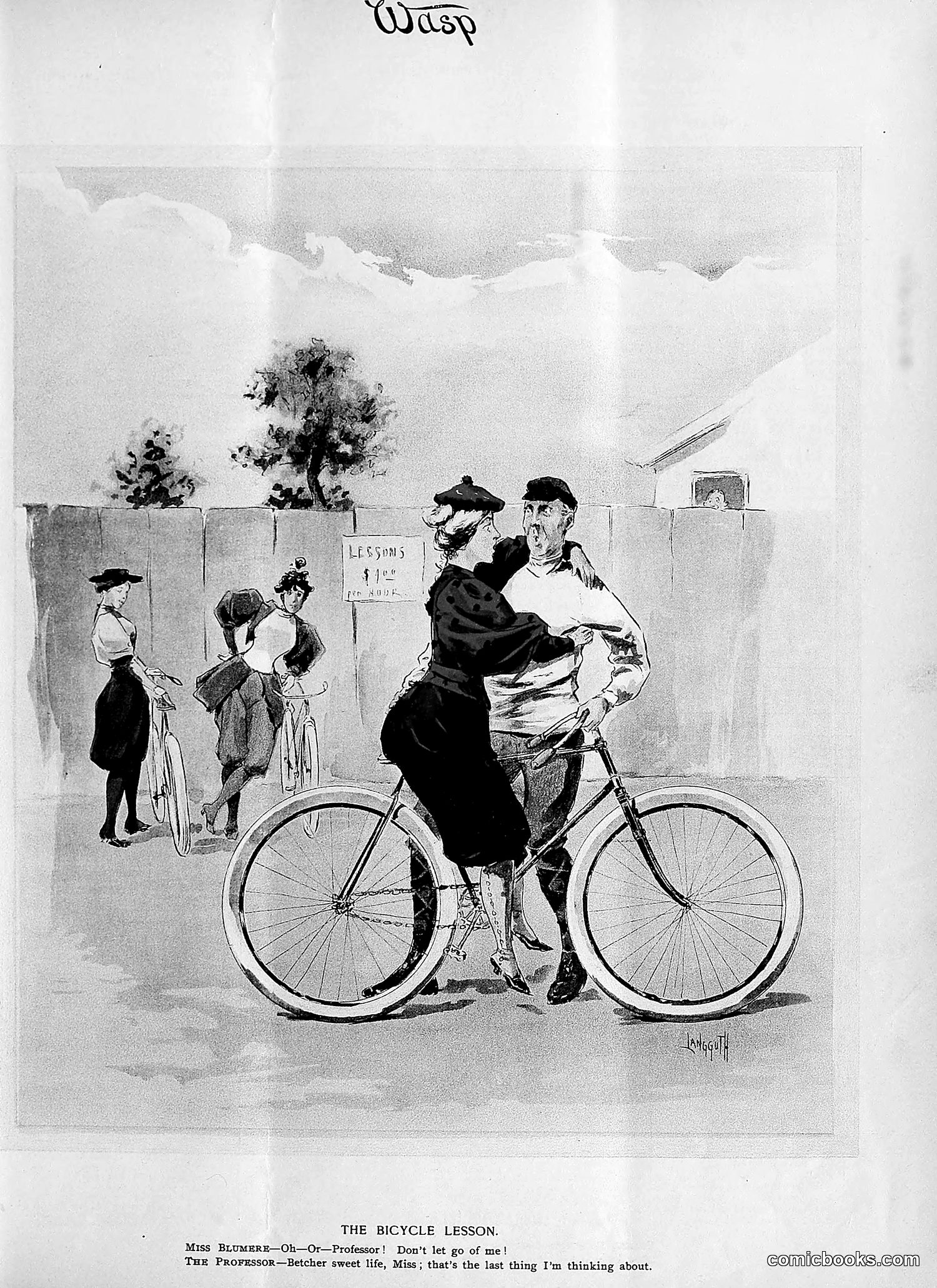 The Wasp — 1895 — page 396 of 1100