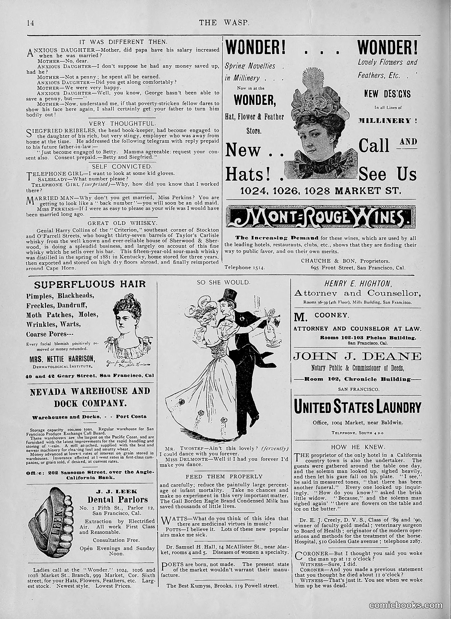 The Wasp — 1895 — page 399 of 1100