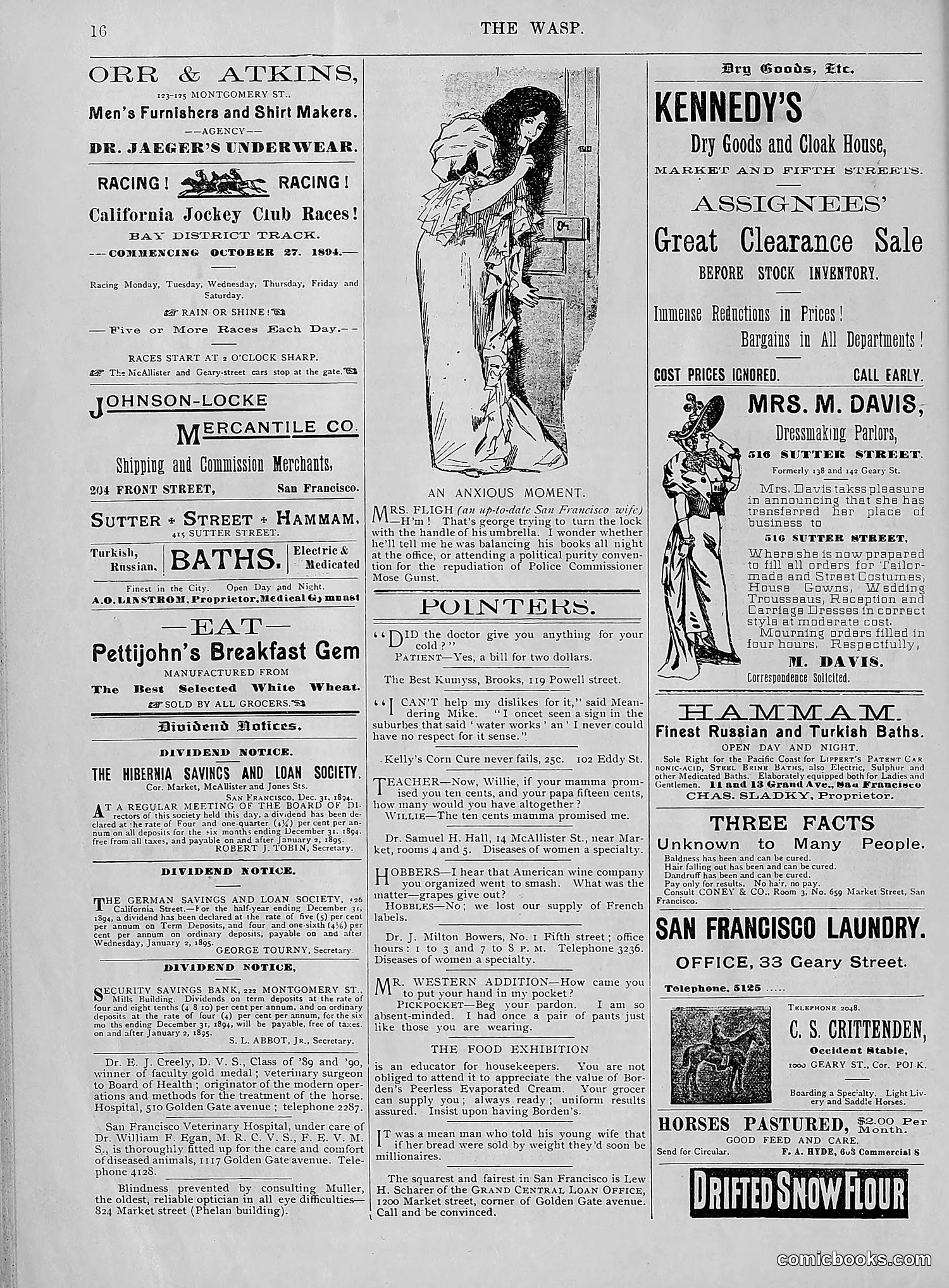 The Wasp — 1895 — page 41 of 1100