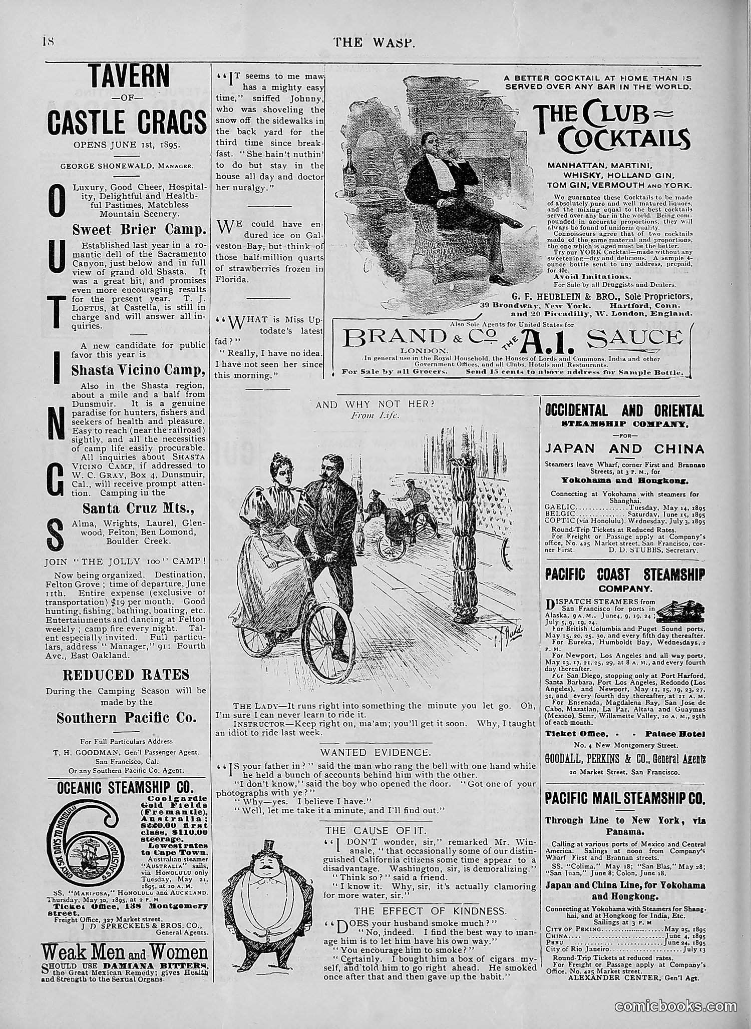The Wasp — 1895 — page 403 of 1100