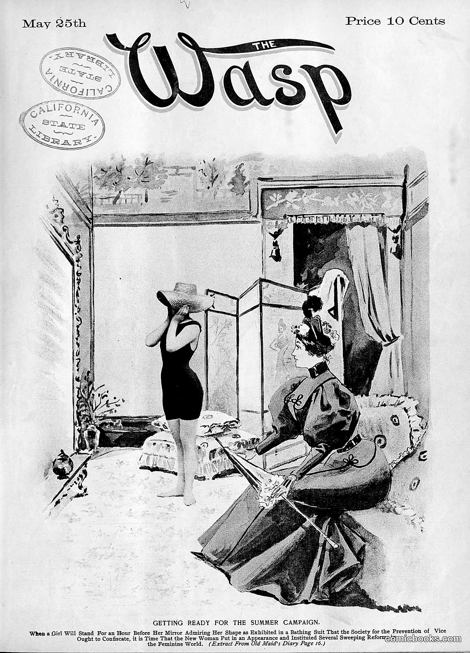 The Wasp — 1895 — page 406 of 1100