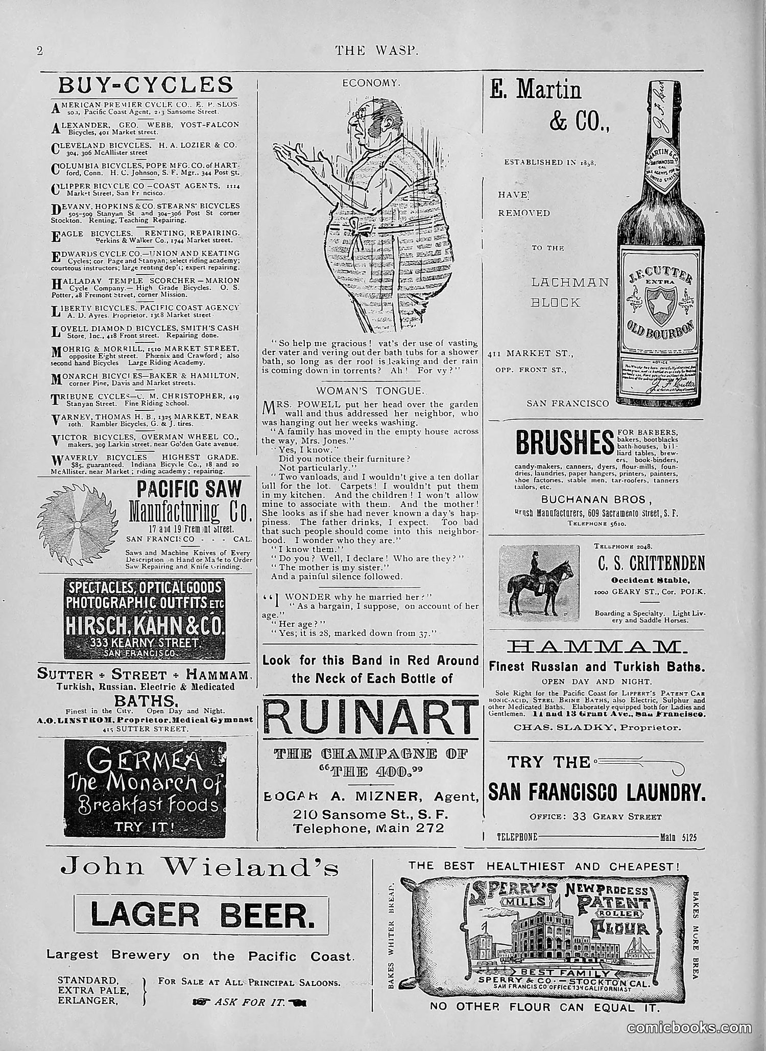 The Wasp — 1895 — page 407 of 1100
