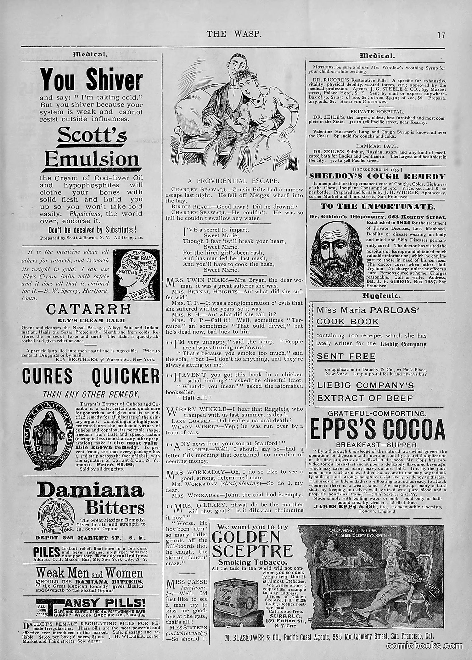 The Wasp — 1895 — page 42 of 1100