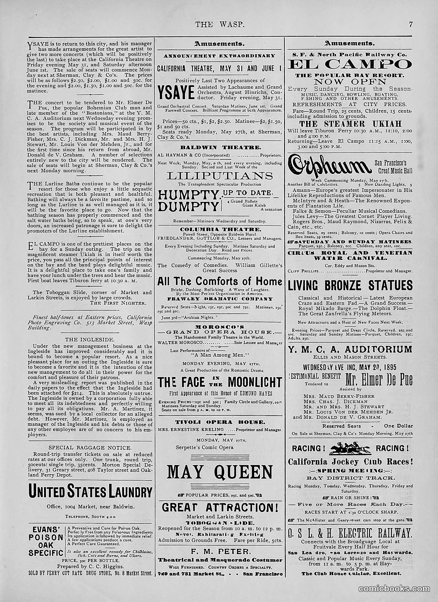 The Wasp — 1895 — page 412 of 1100