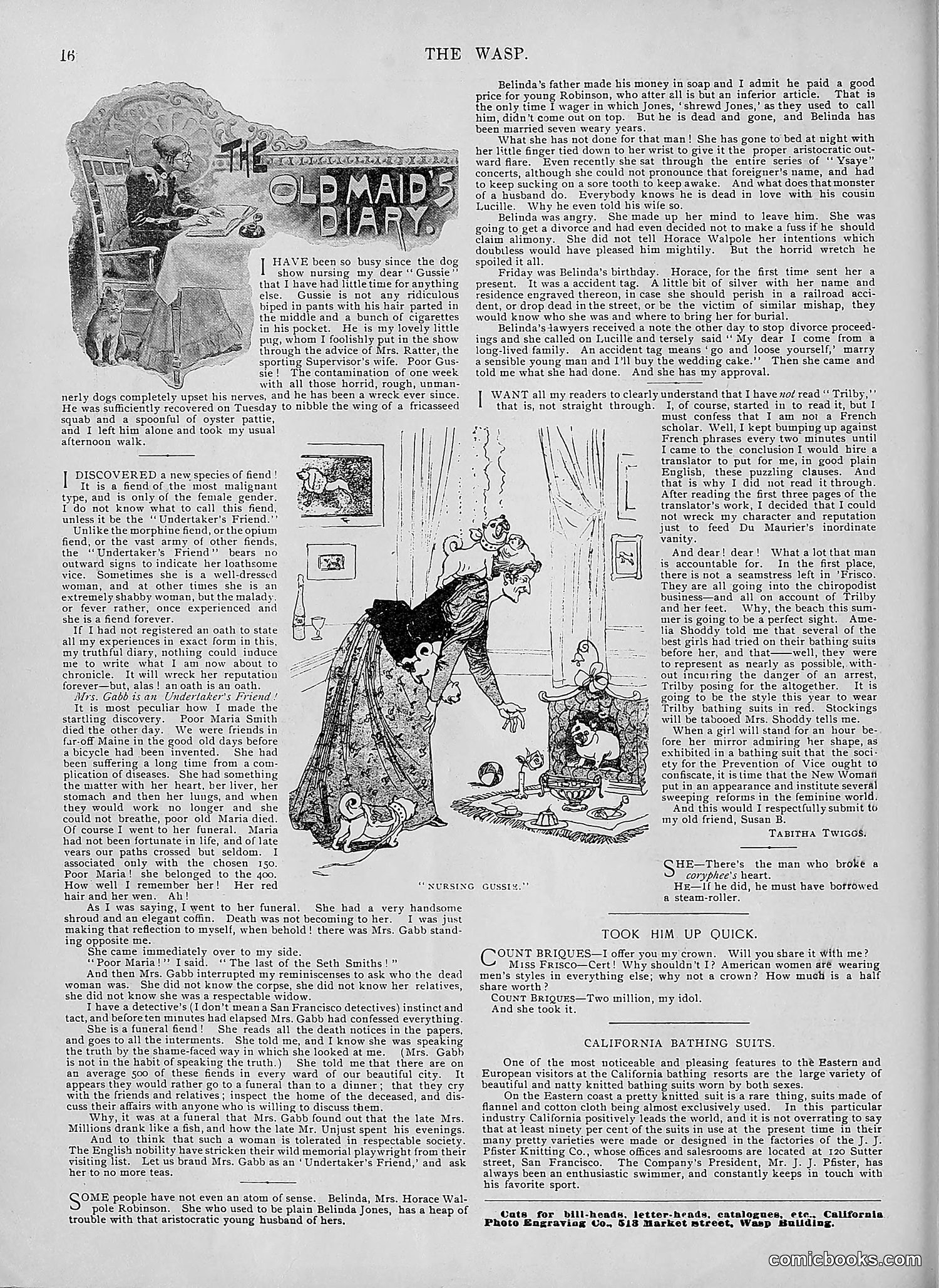 The Wasp — 1895 — page 421 of 1100