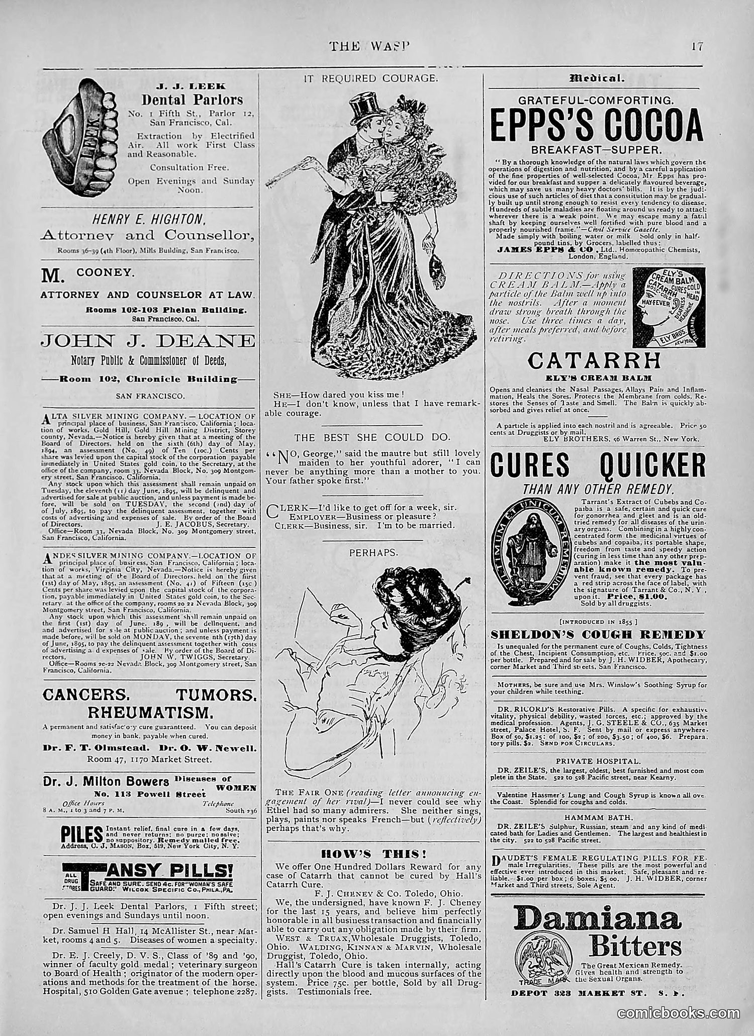 The Wasp — 1895 — page 422 of 1100