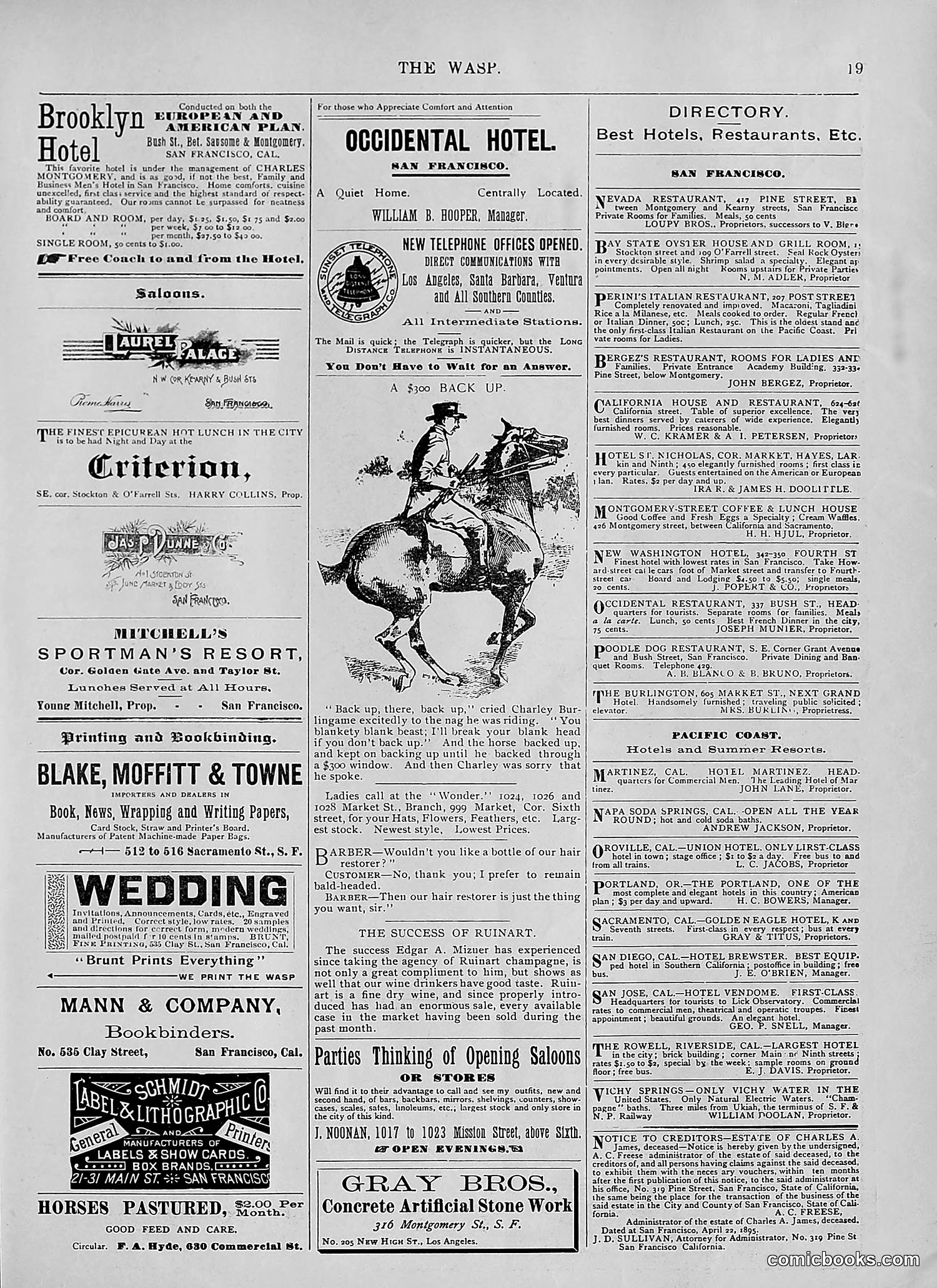 The Wasp — 1895 — page 424 of 1100