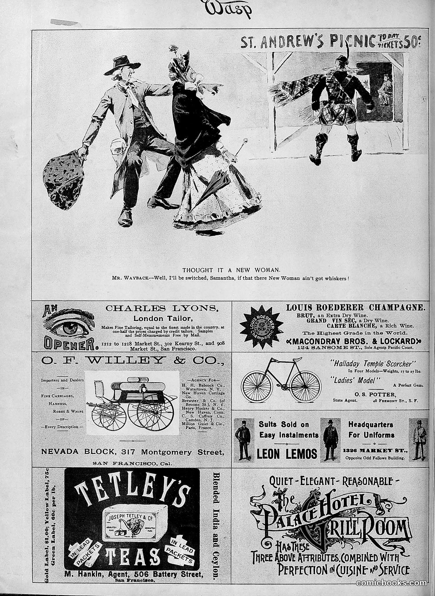 The Wasp — 1895 — page 425 of 1100