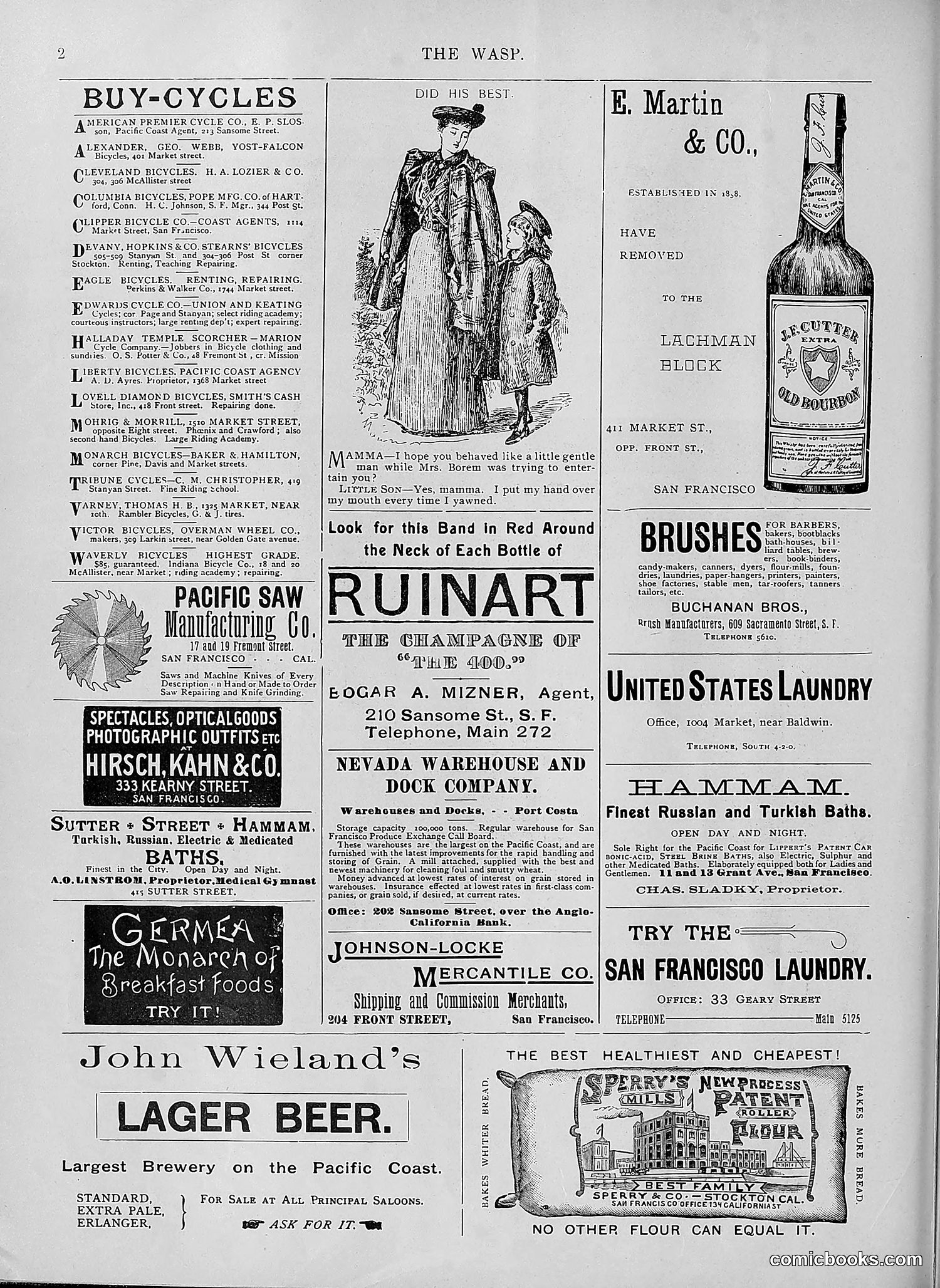 The Wasp — 1895 — page 427 of 1100