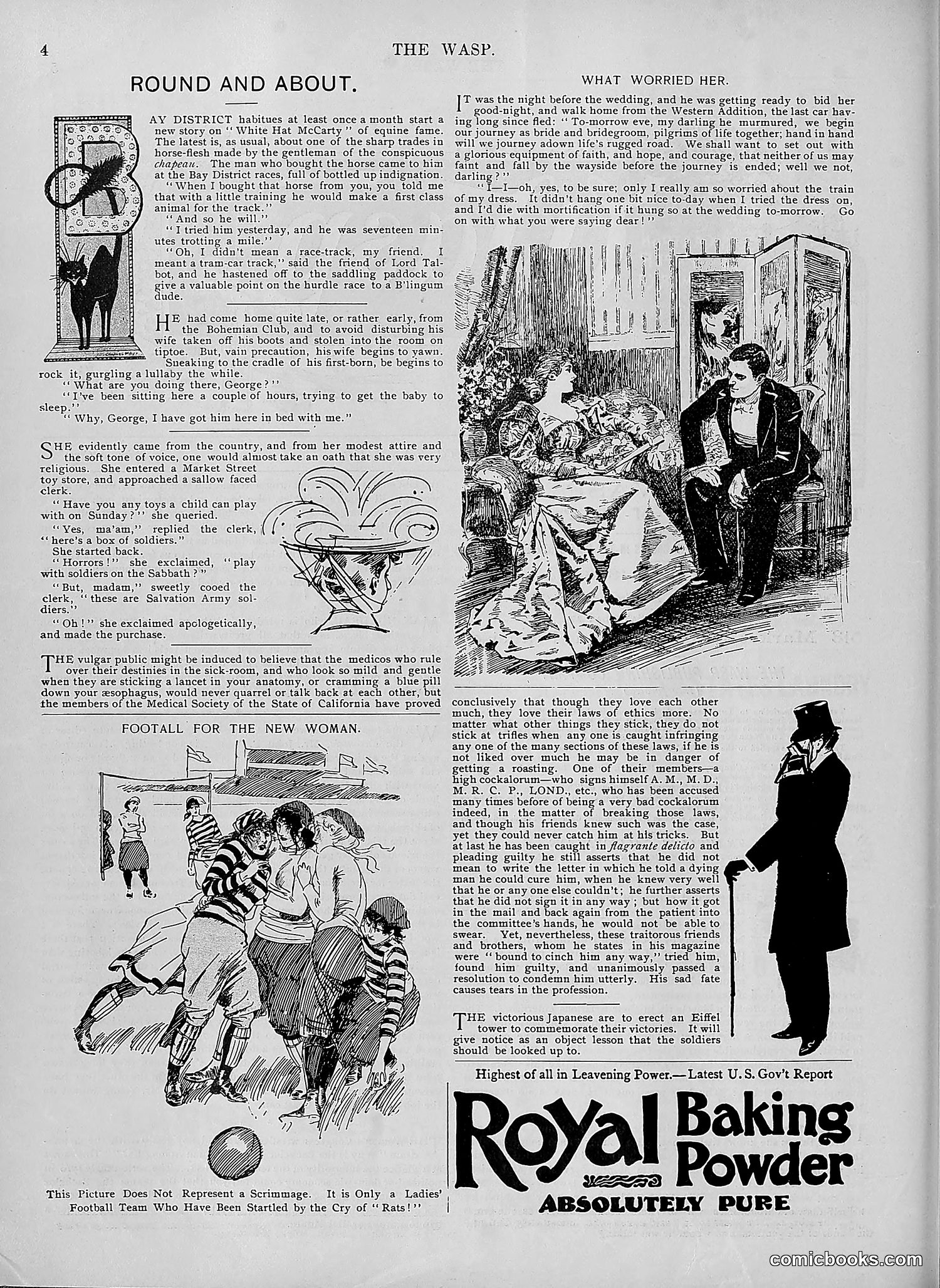 The Wasp — 1895 — page 429 of 1100