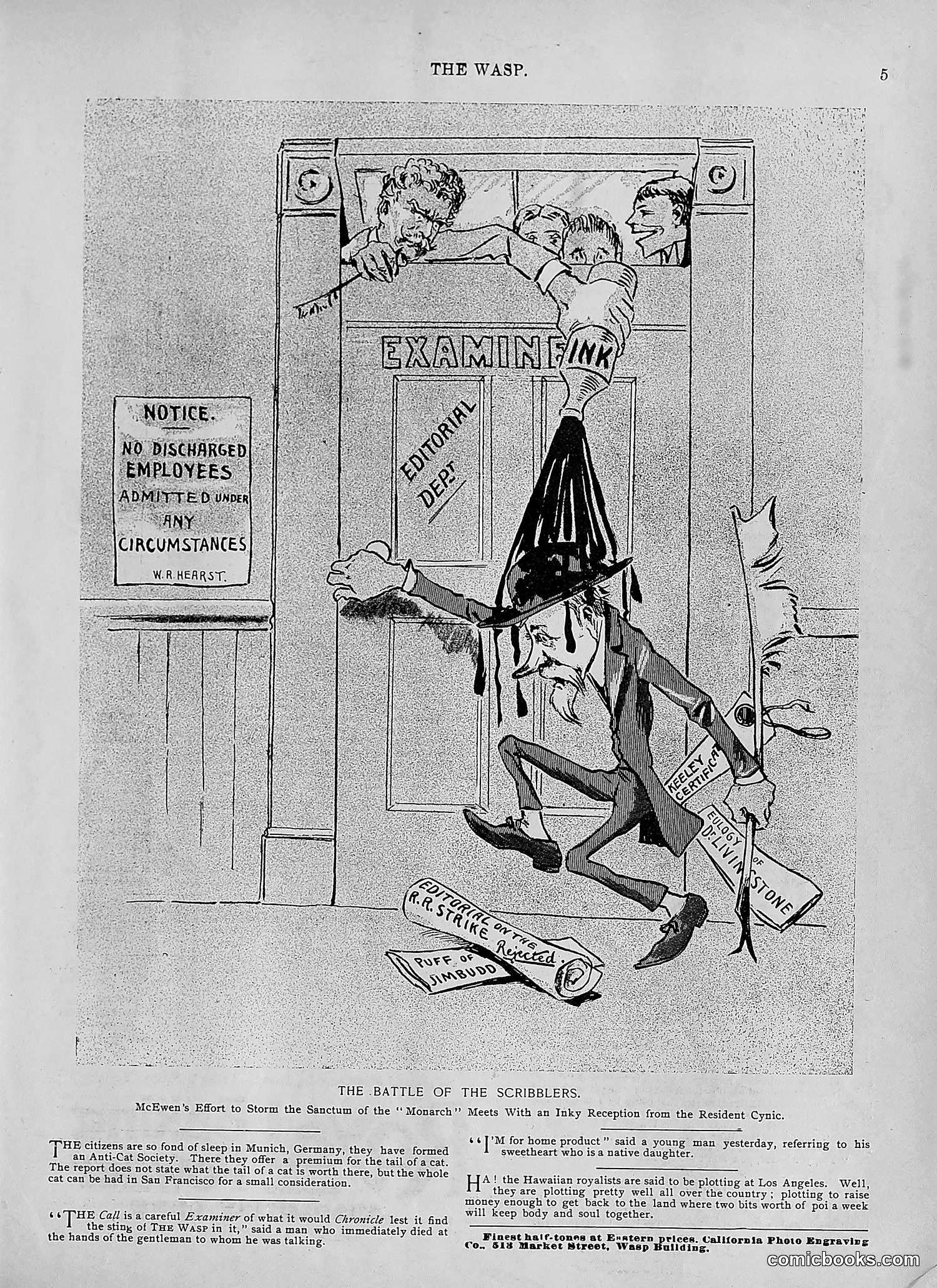 The Wasp — 1895 — page 430 of 1100