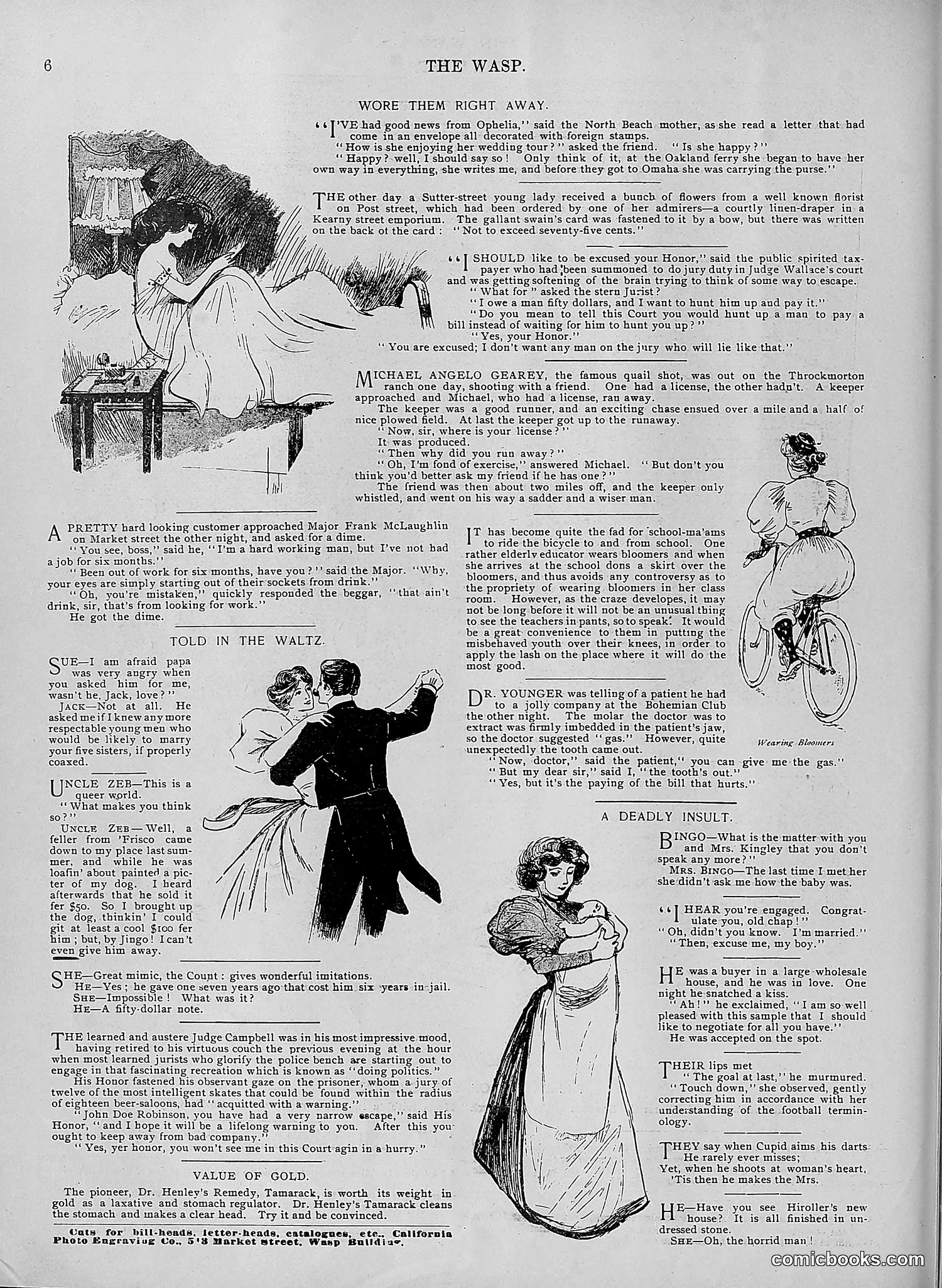 The Wasp — 1895 — page 431 of 1100
