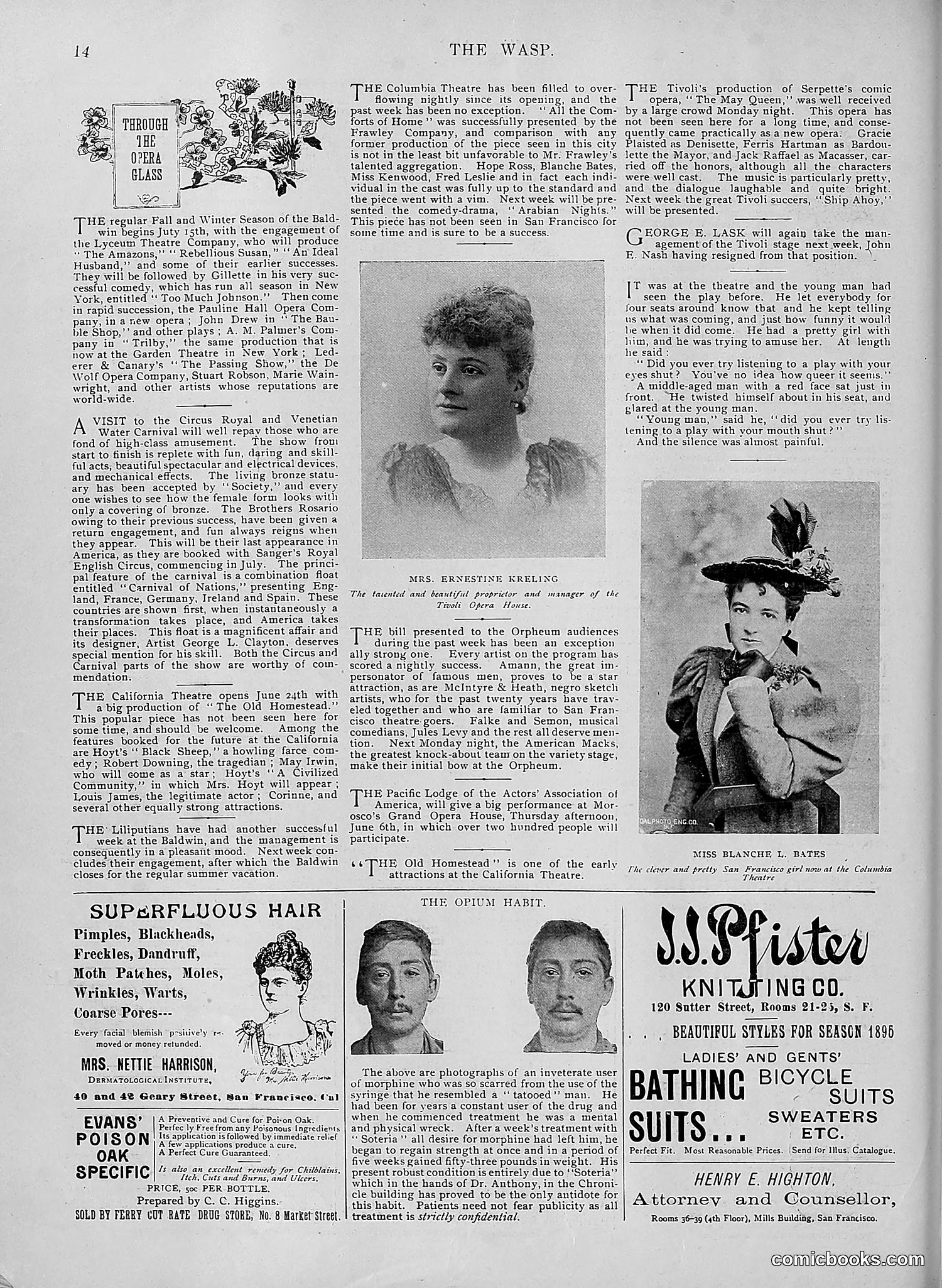 The Wasp — 1895 — page 439 of 1100