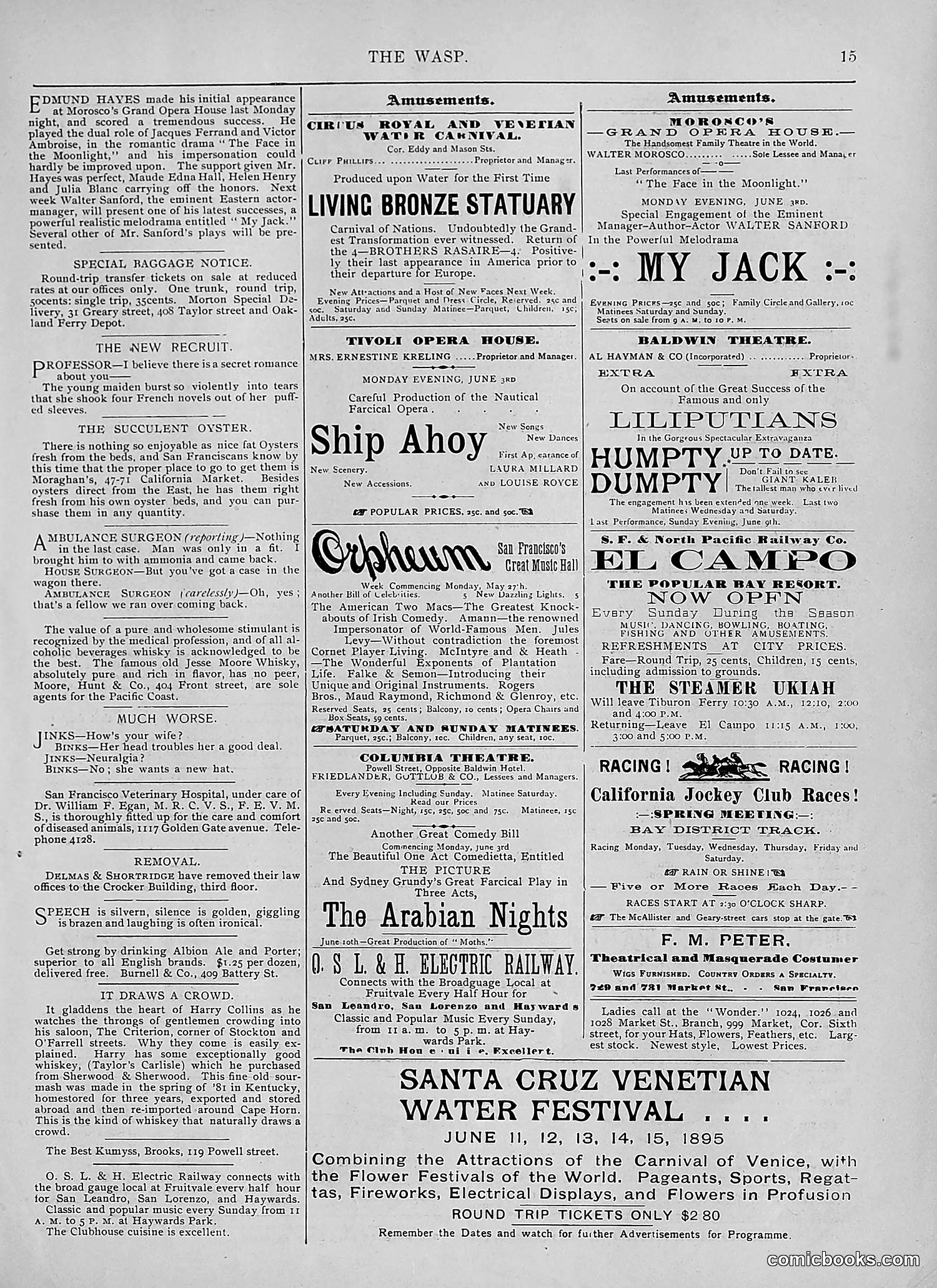 The Wasp — 1895 — page 440 of 1100