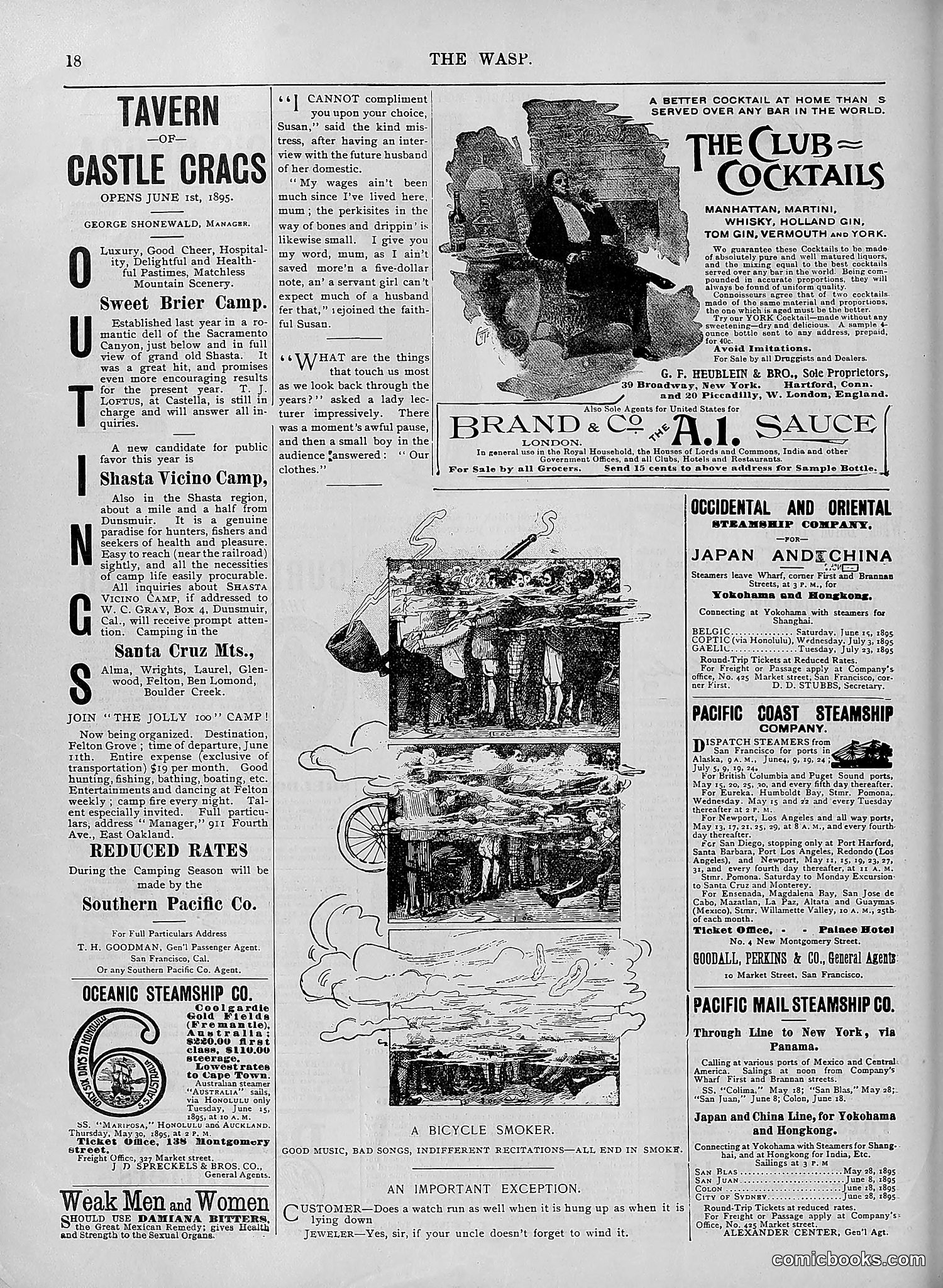 The Wasp — 1895 — page 443 of 1100