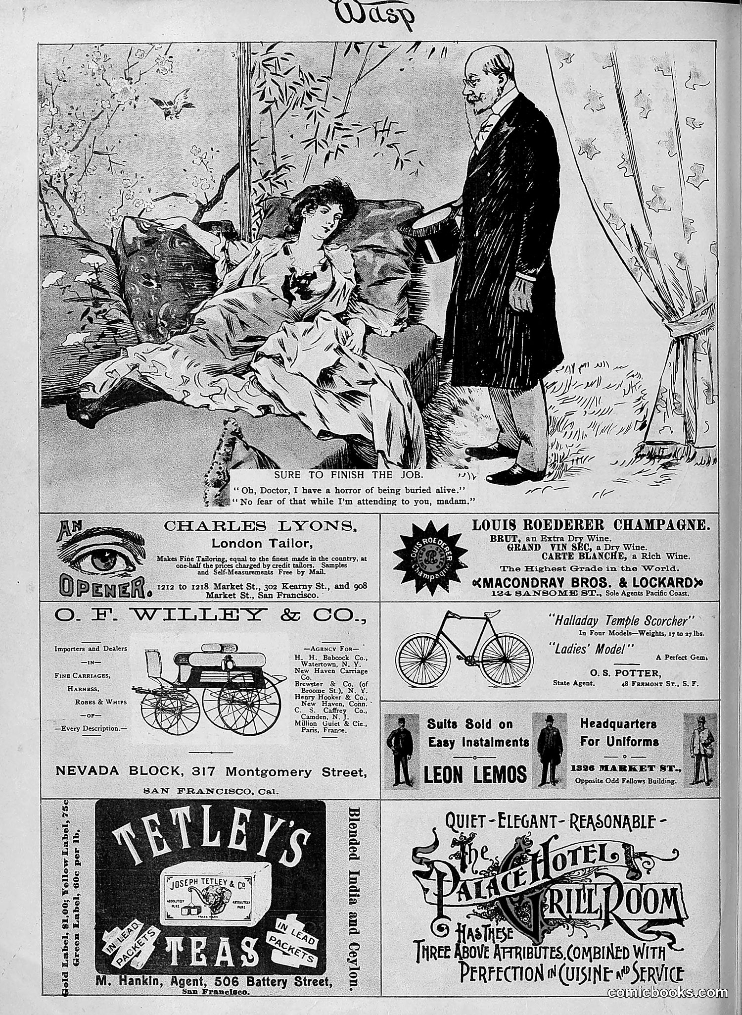 The Wasp — 1895 — page 445 of 1100