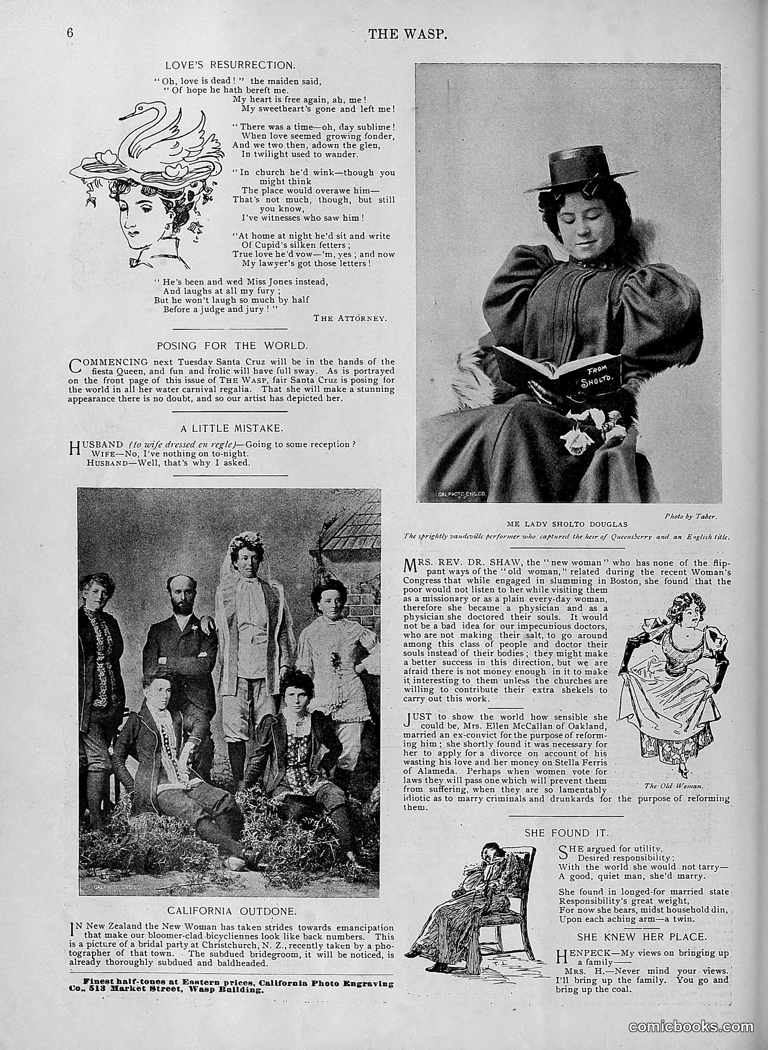 The Wasp — 1895 — page 451 of 1100