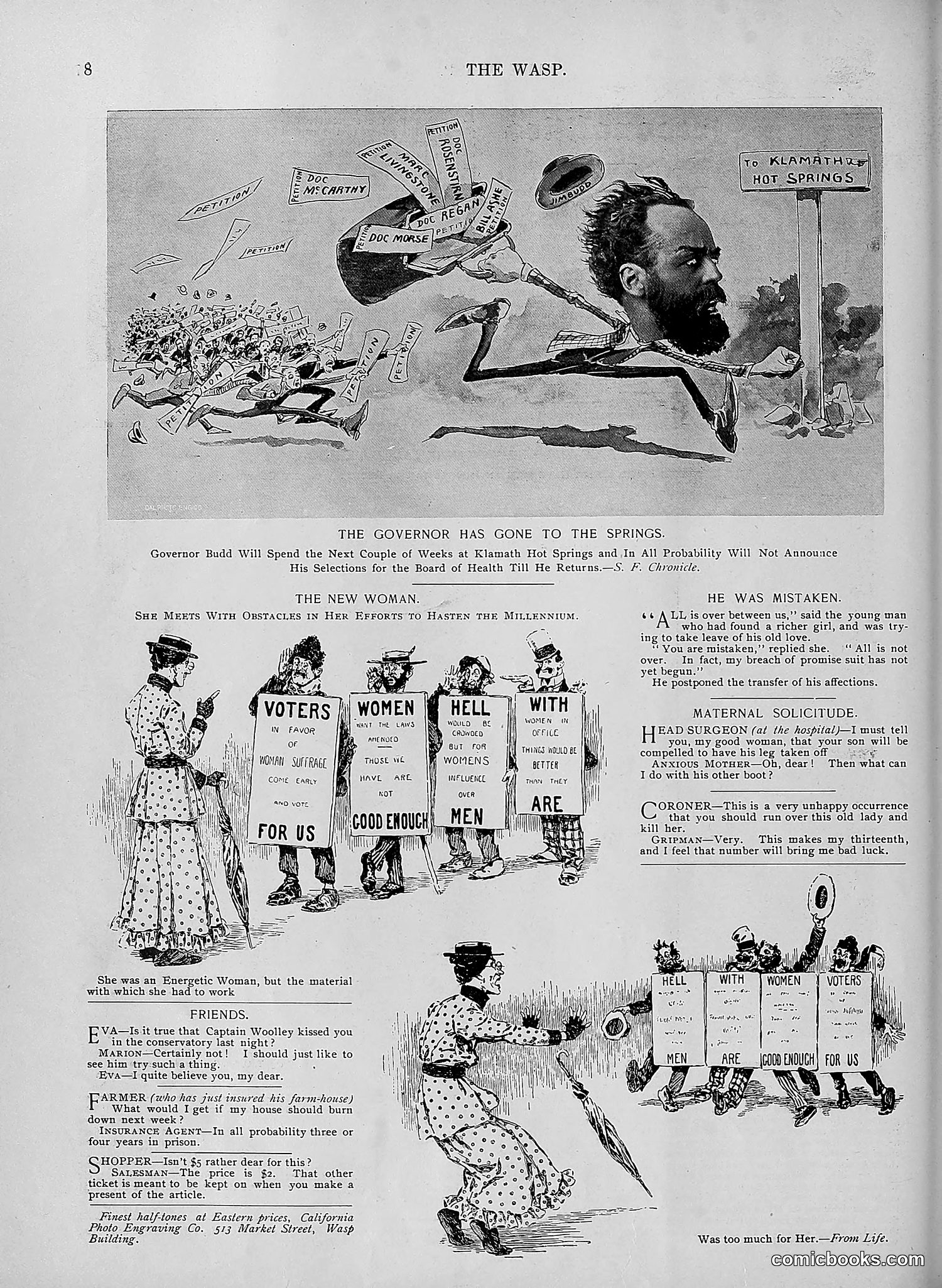 The Wasp — 1895 — page 453 of 1100