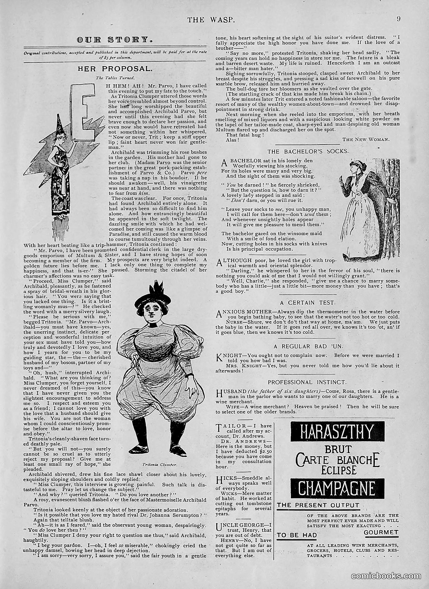 The Wasp — 1895 — page 454 of 1100