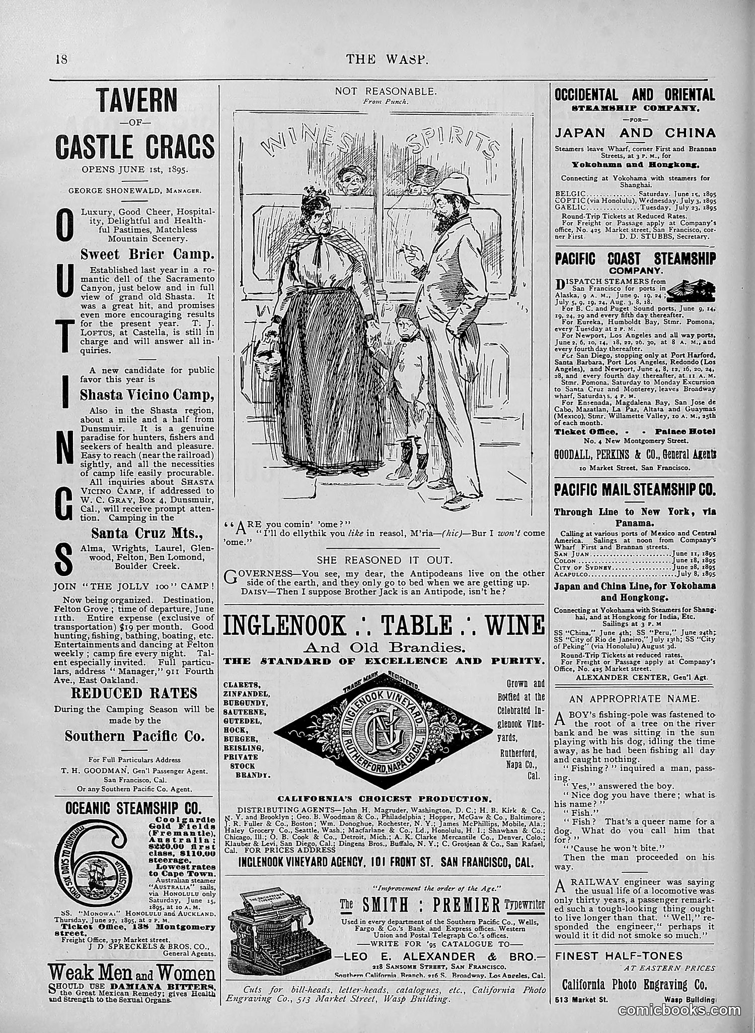 The Wasp — 1895 — page 463 of 1100