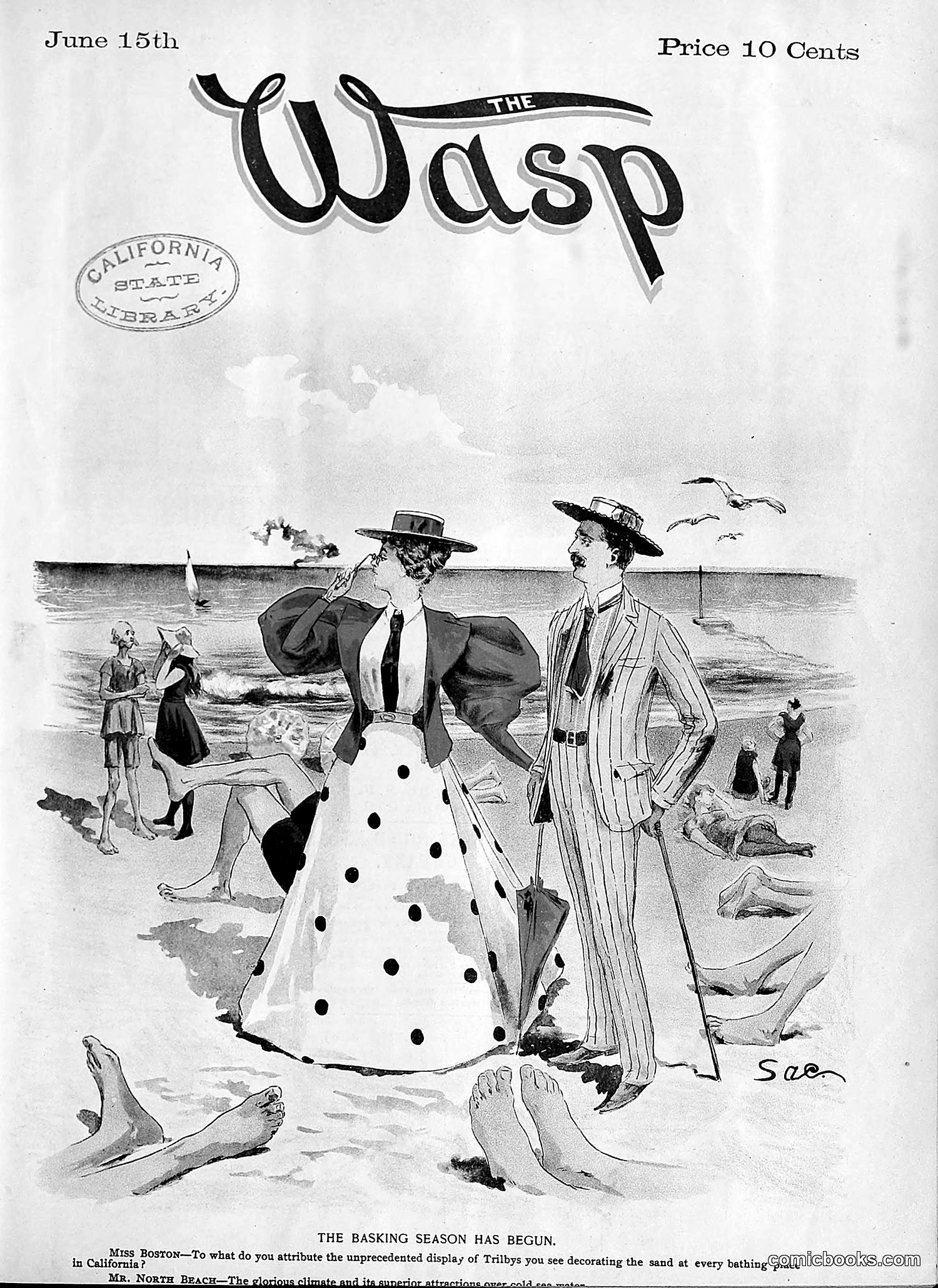 The Wasp — 1895 — page 466 of 1100