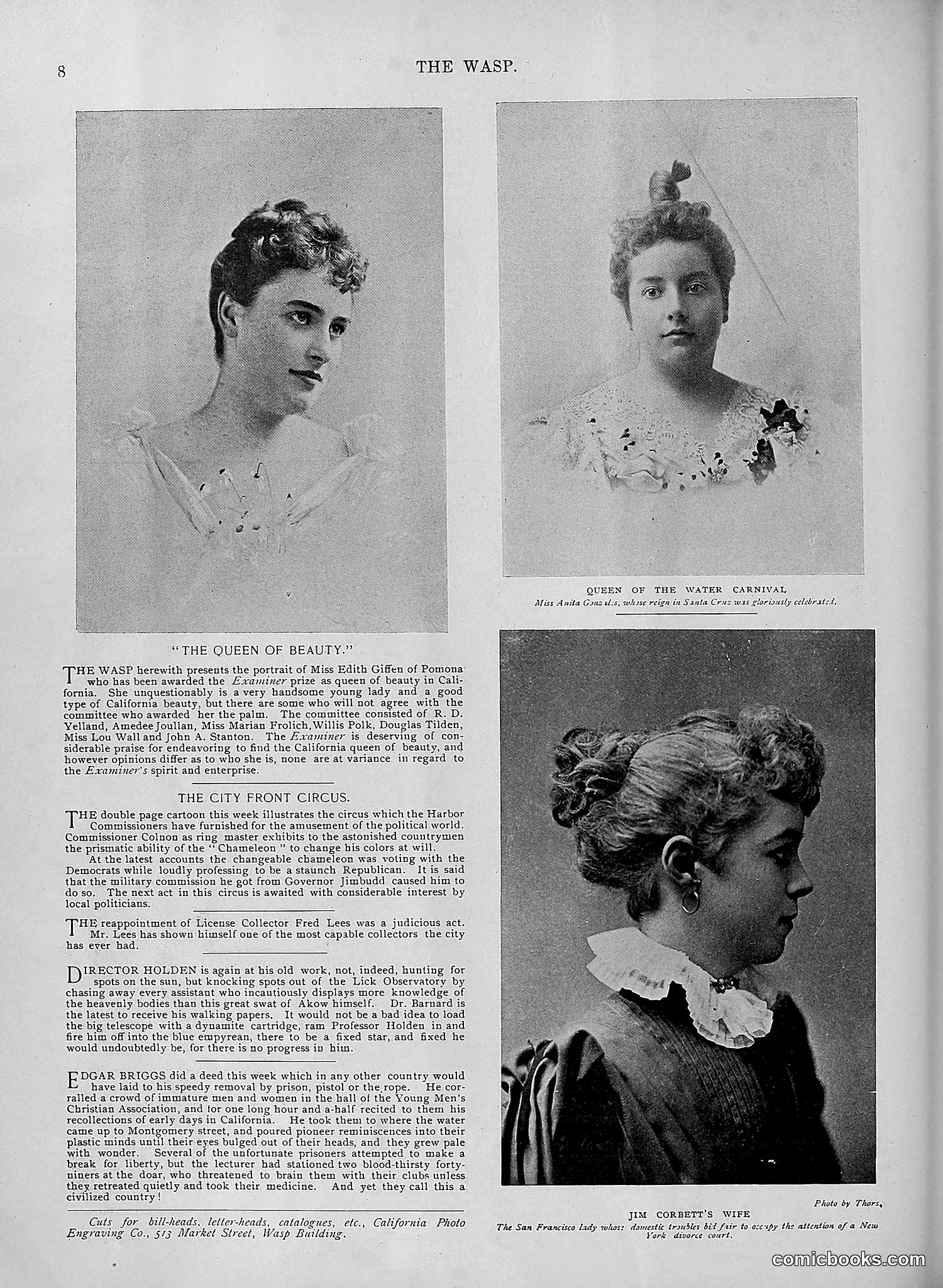 The Wasp — 1895 — page 473 of 1100