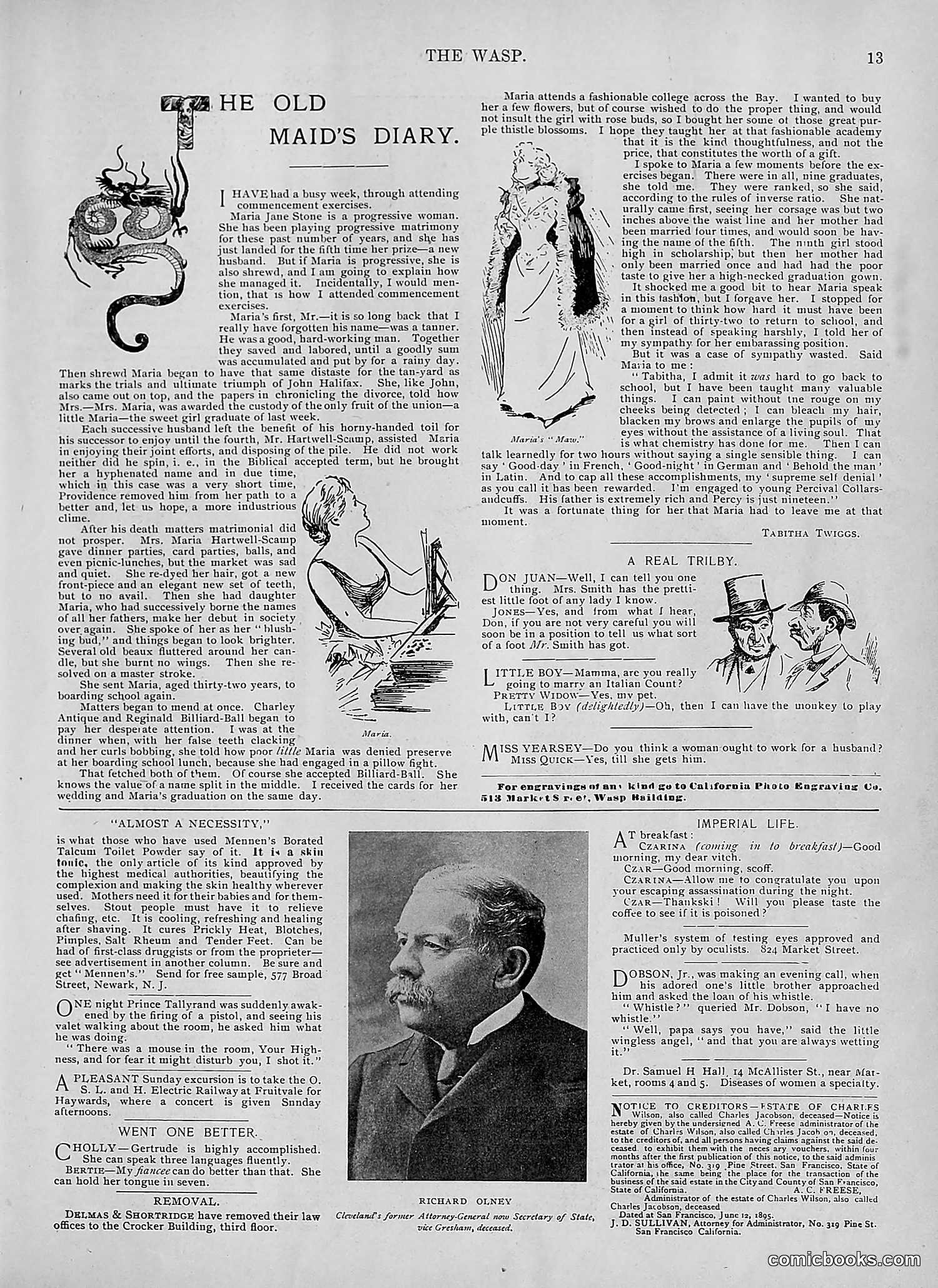 The Wasp — 1895 — page 478 of 1100