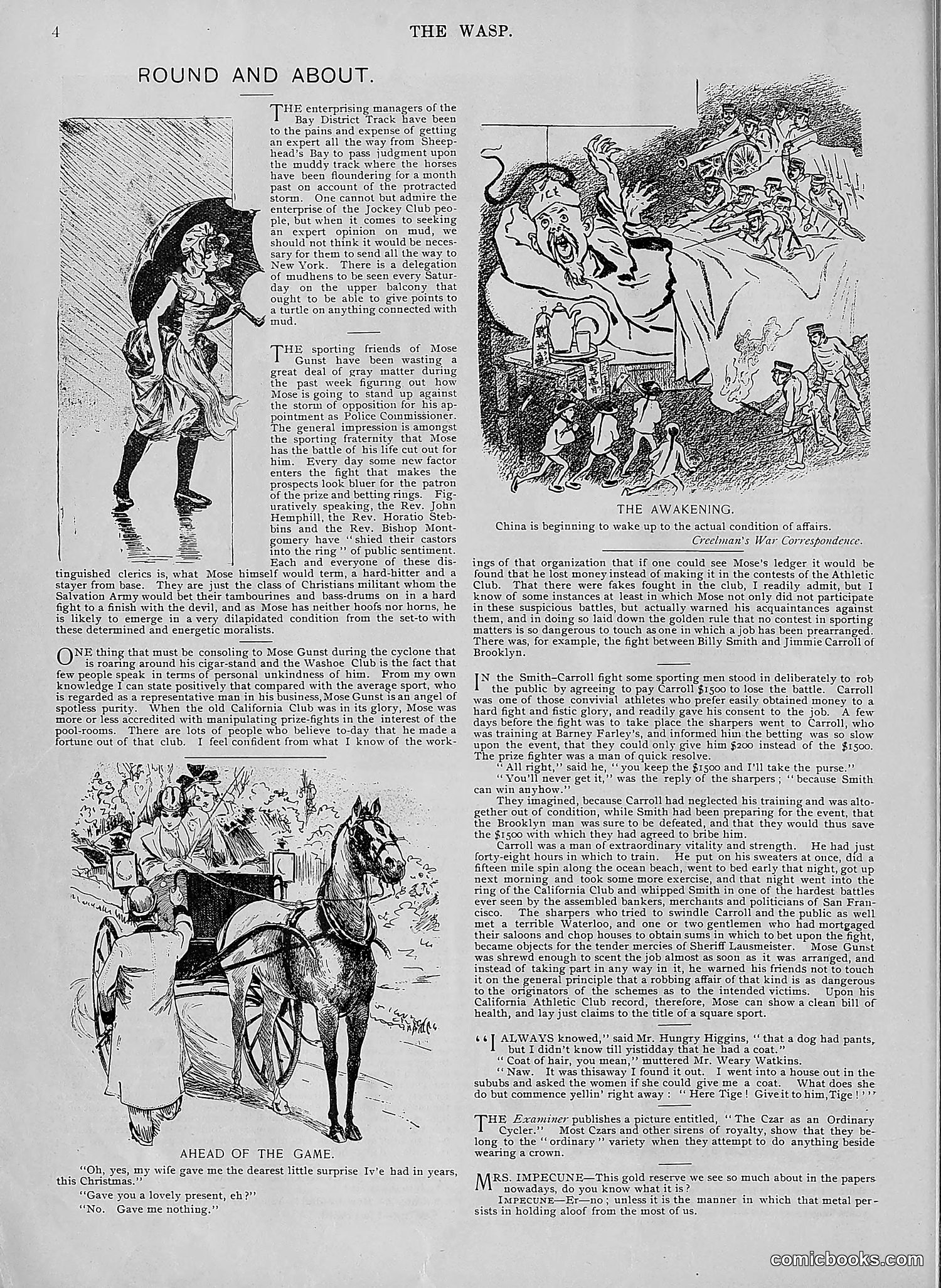 The Wasp — 1895 — page 49 of 1100
