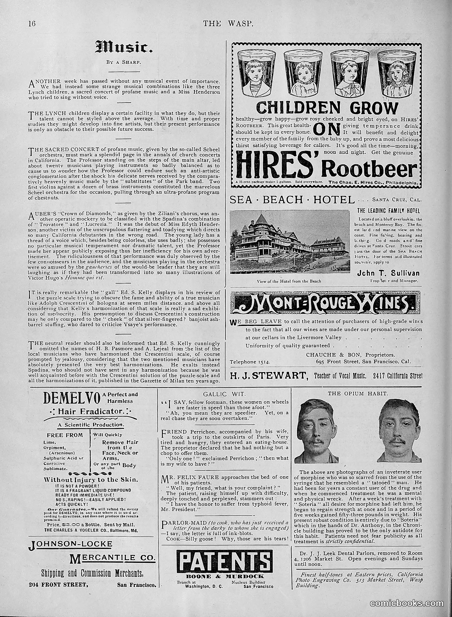 The Wasp — 1895 — page 481 of 1100