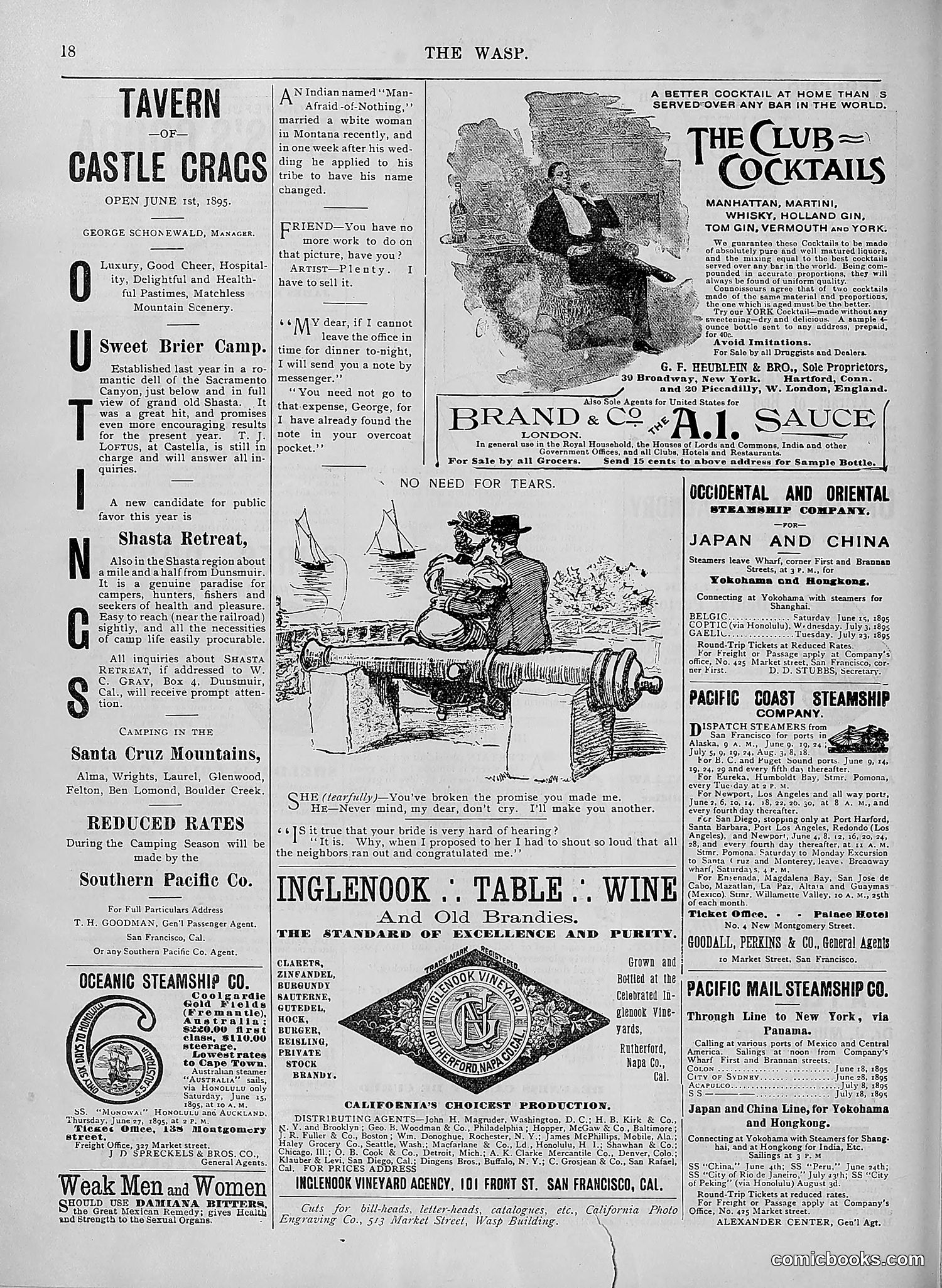 The Wasp — 1895 — page 483 of 1100