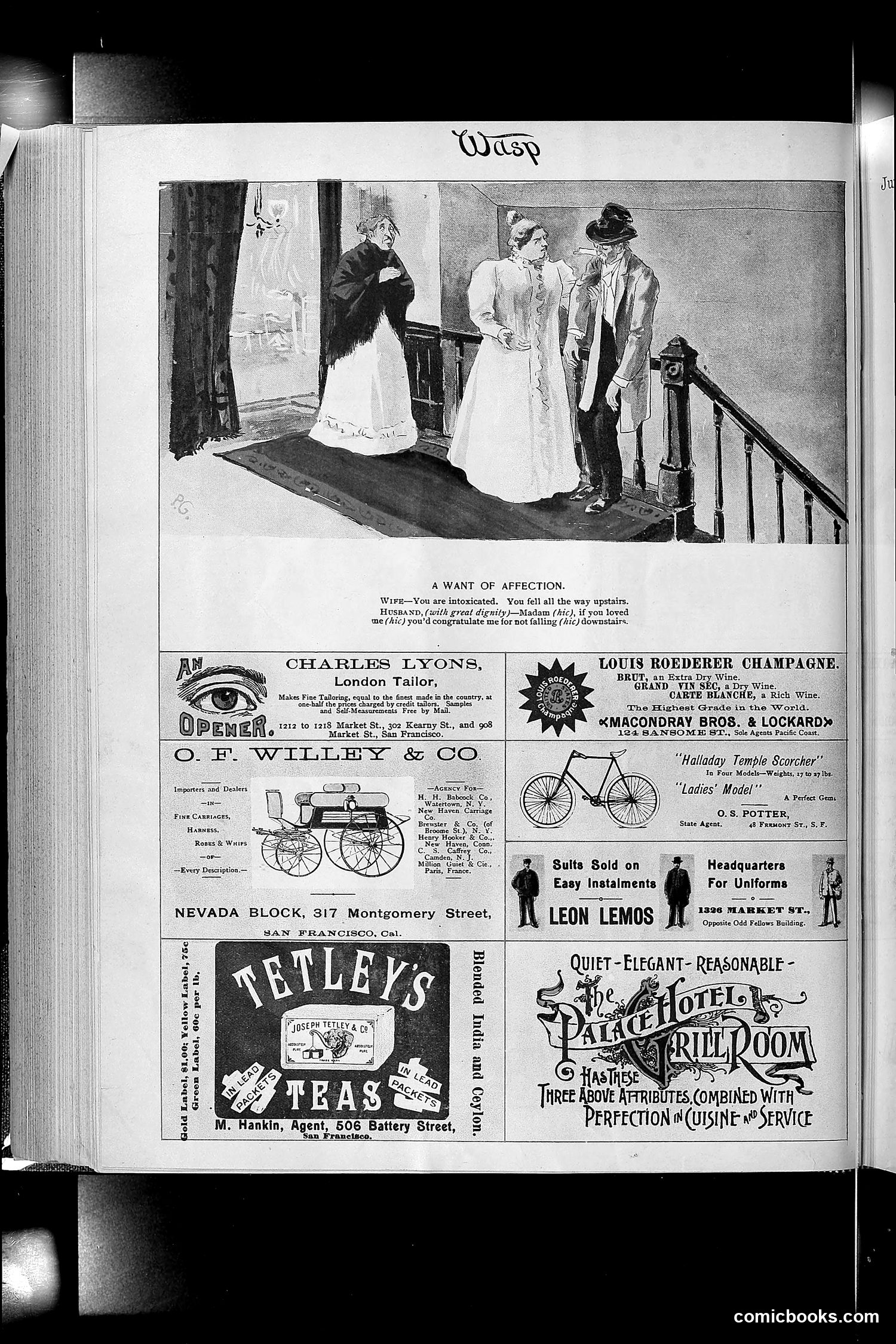 The Wasp — 1895 — page 485 of 1100