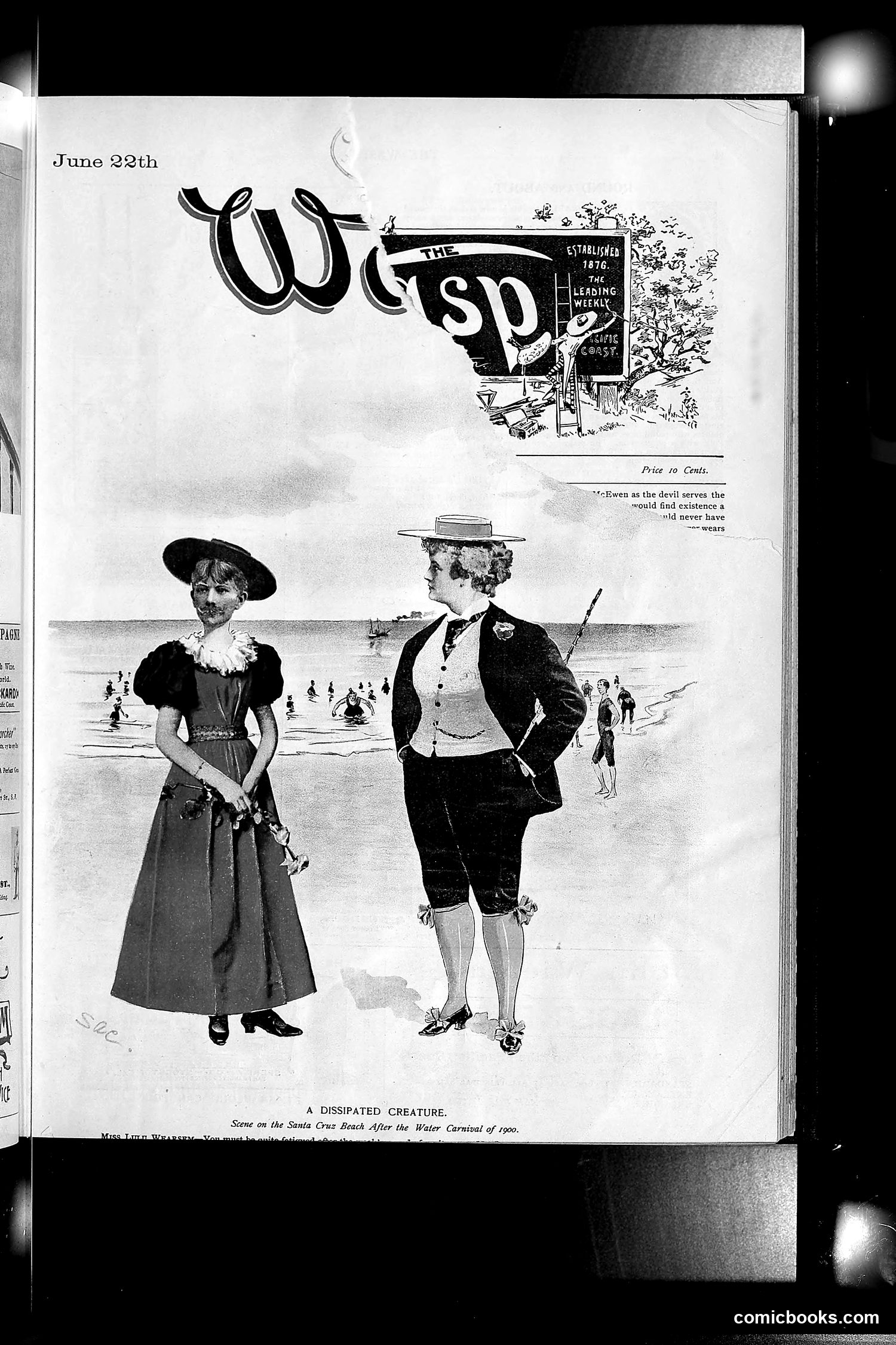 The Wasp — 1895 — page 486 of 1100