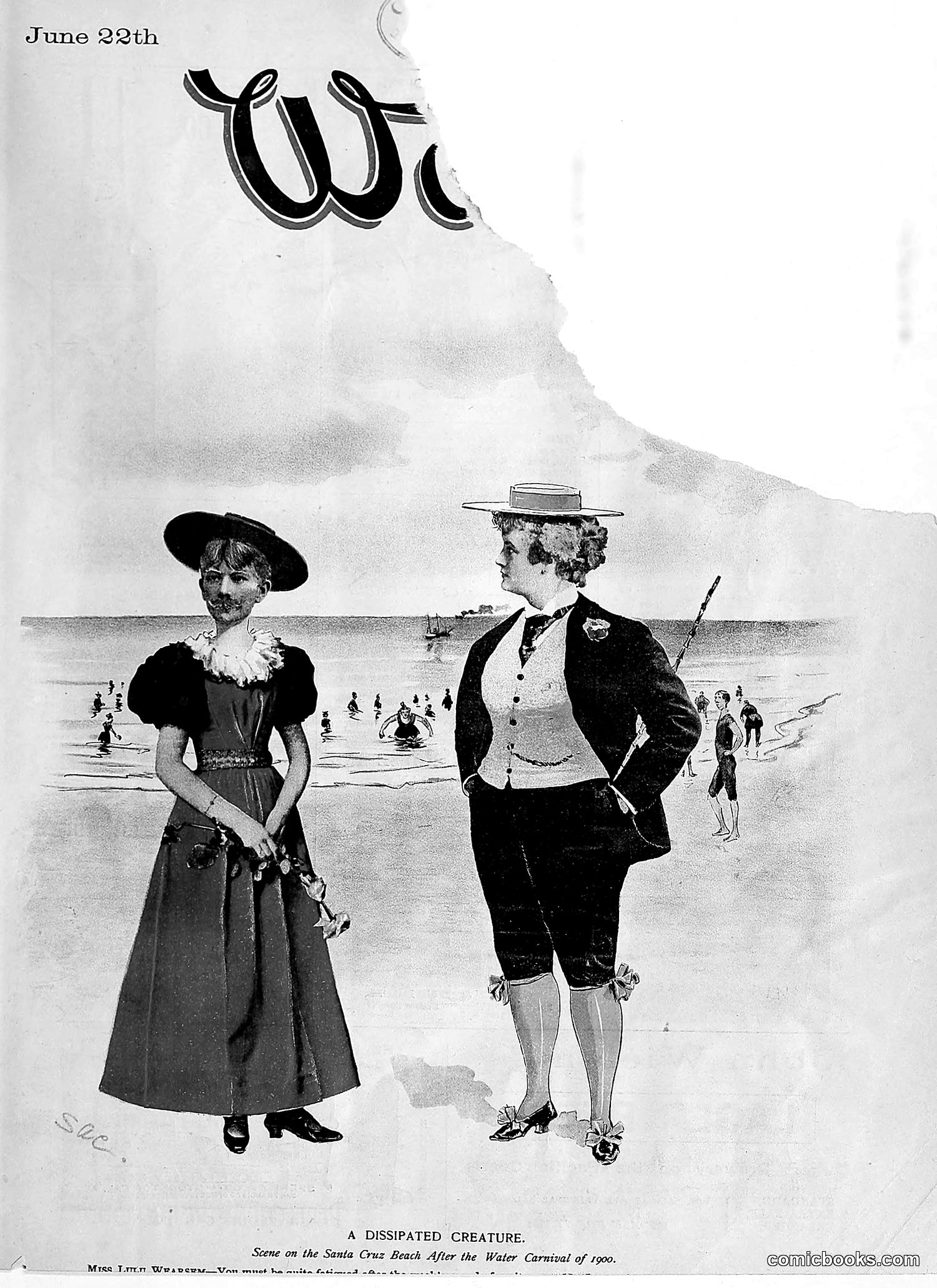 The Wasp — 1895 — page 488 of 1100