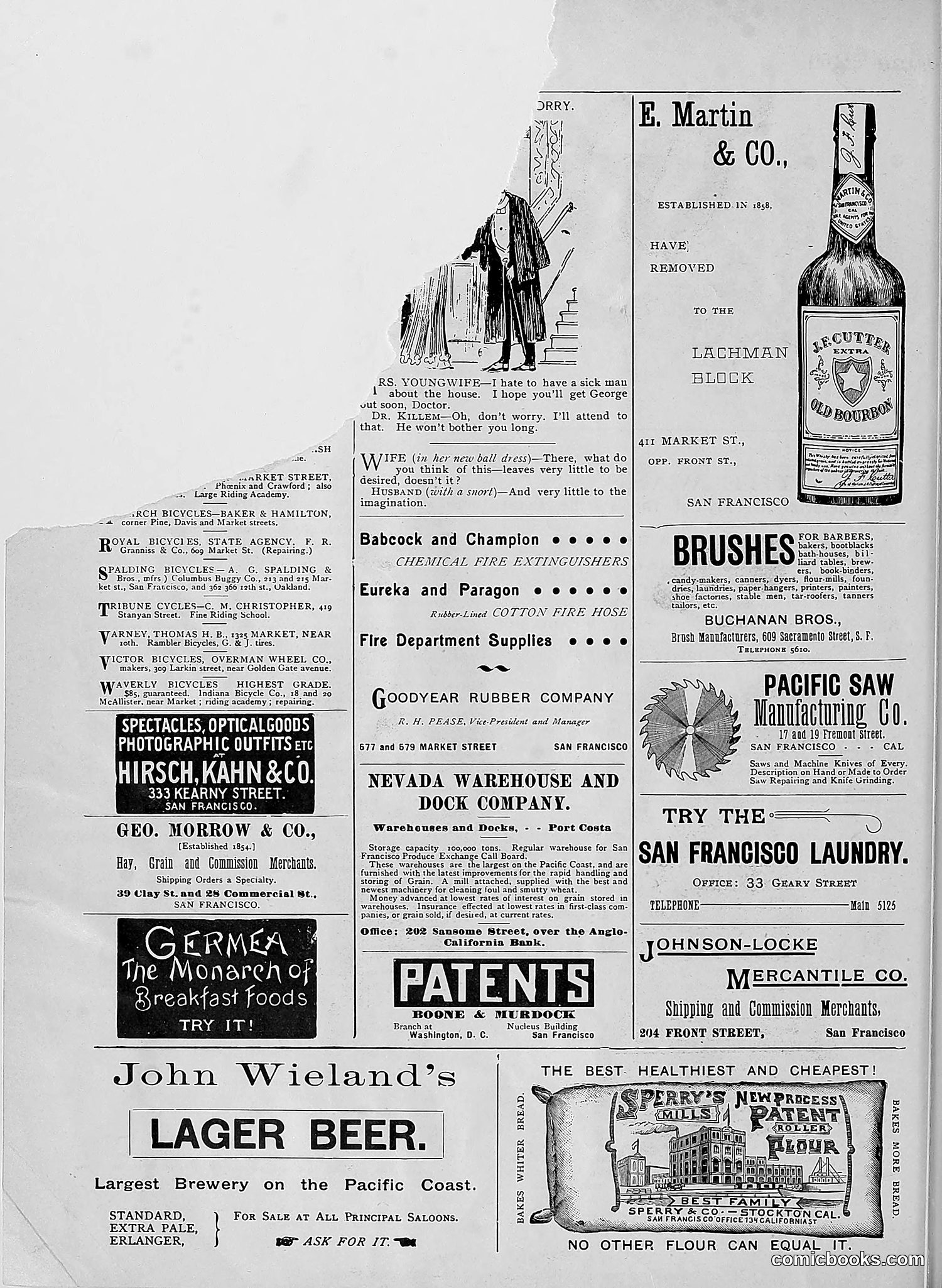 The Wasp — 1895 — page 489 of 1100