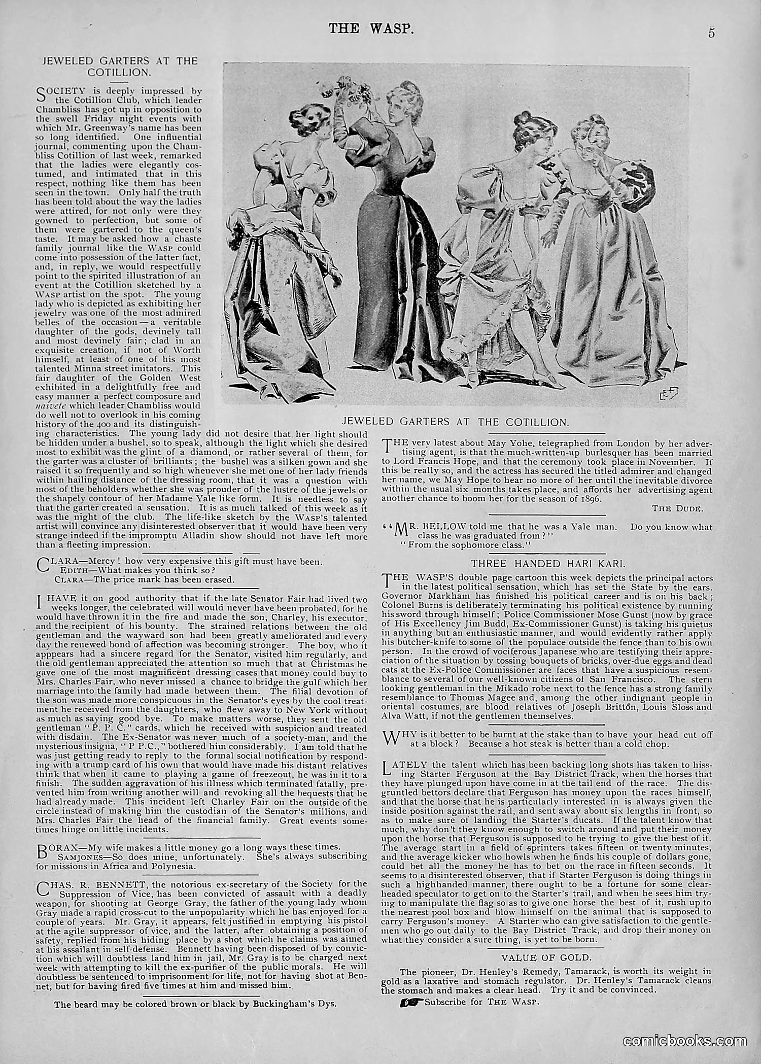 The Wasp — 1895 — page 50 of 1100