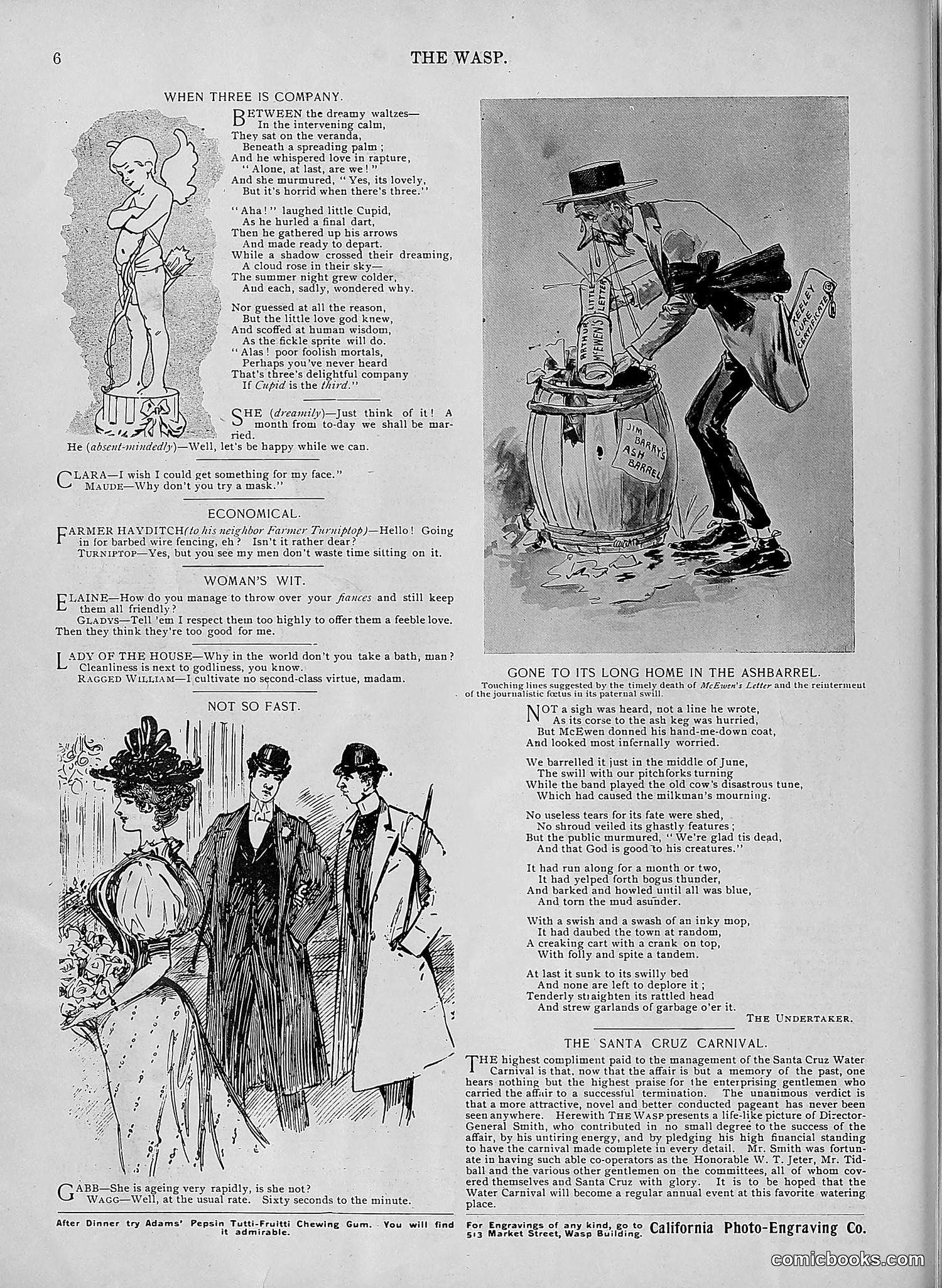 The Wasp — 1895 — page 493 of 1100