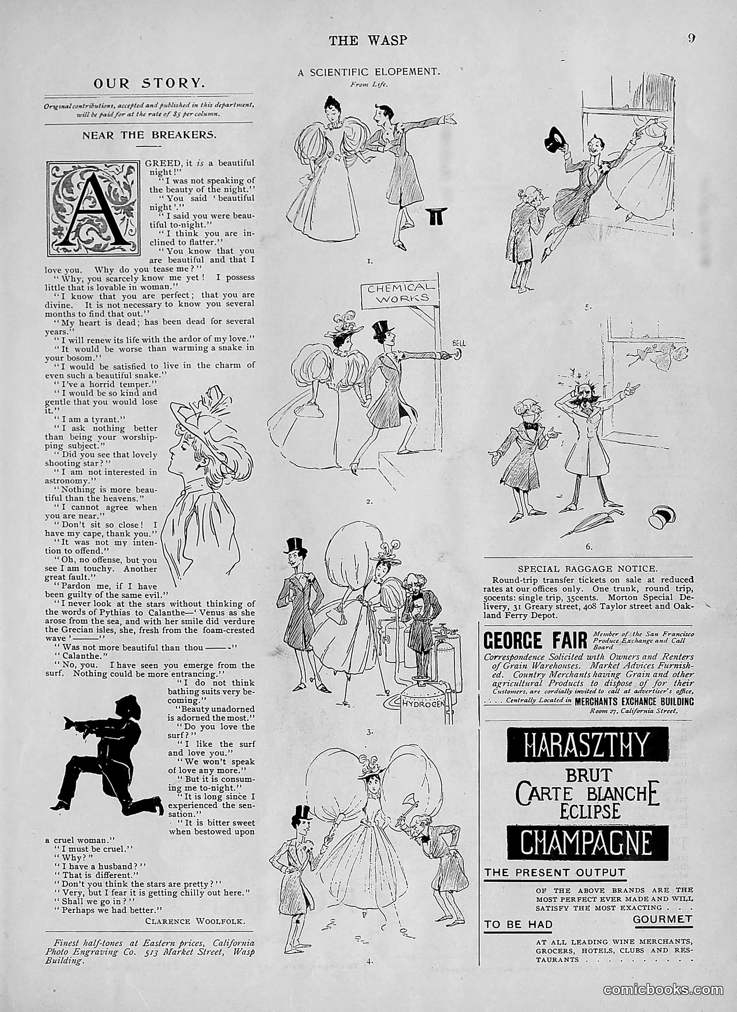 The Wasp — 1895 — page 496 of 1100
