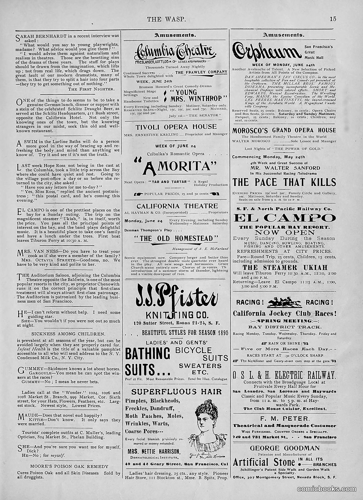 The Wasp — 1895 — page 502 of 1100