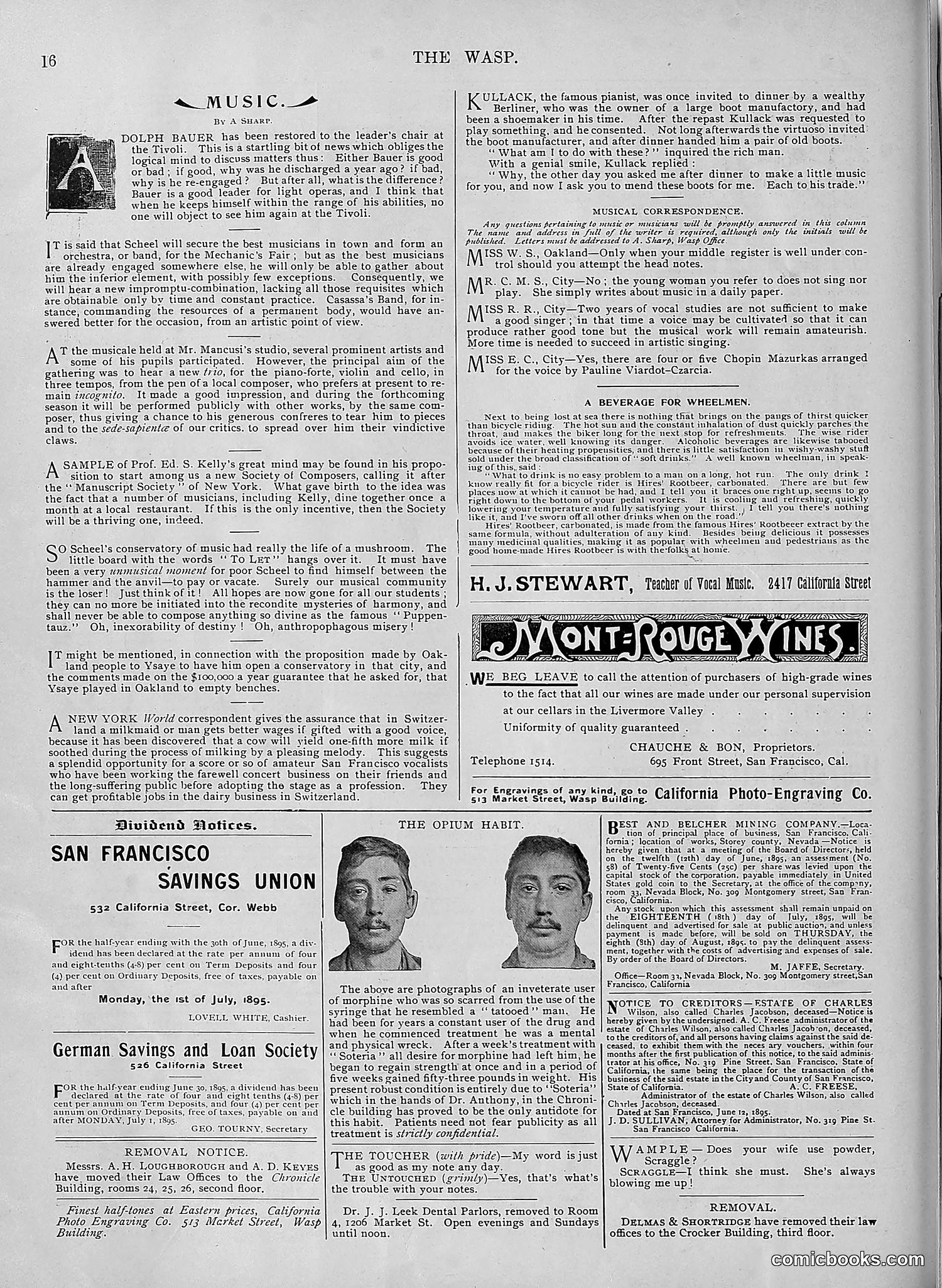 The Wasp — 1895 — page 503 of 1100