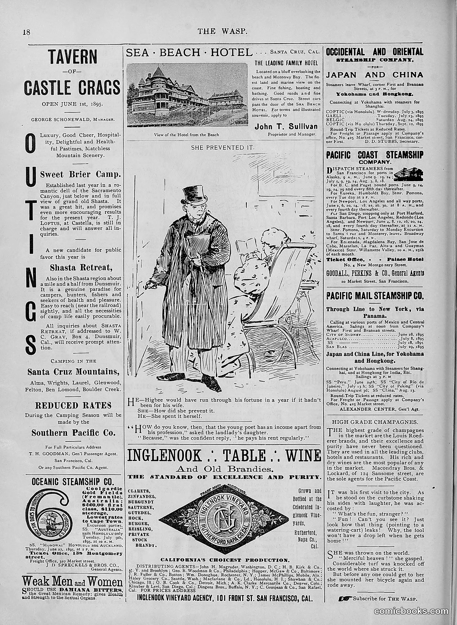 The Wasp — 1895 — page 505 of 1100