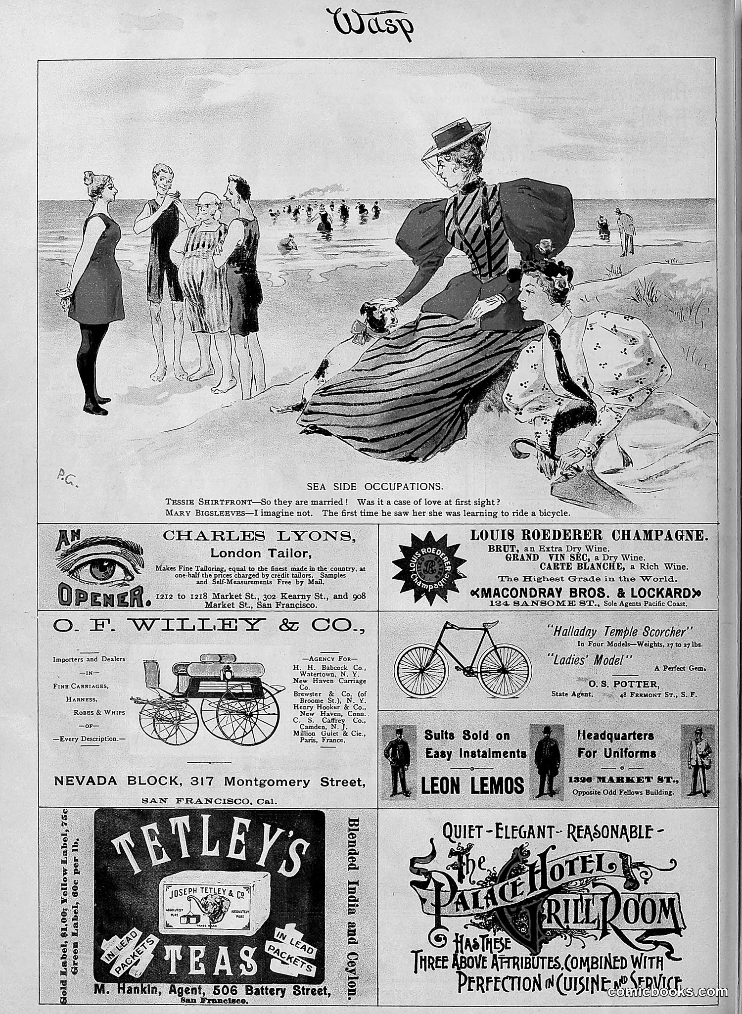 The Wasp — 1895 — page 507 of 1100