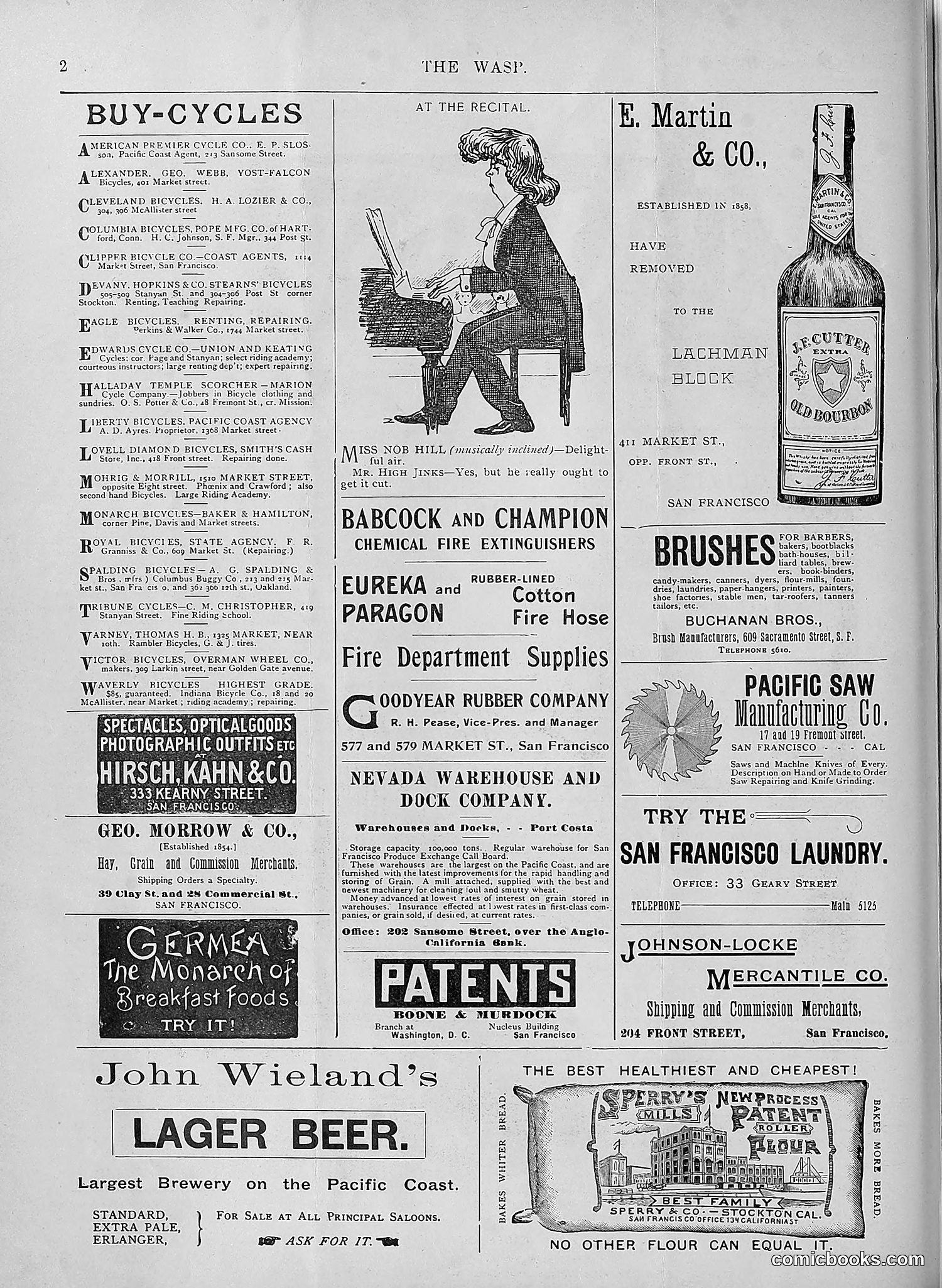 The Wasp — 1895 — page 509 of 1100