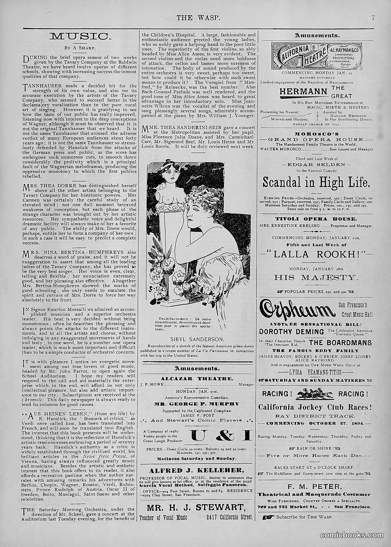 The Wasp — 1895 — page 52 of 1100